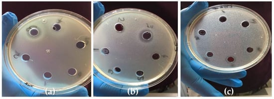 Processes 11 00551 g006 550