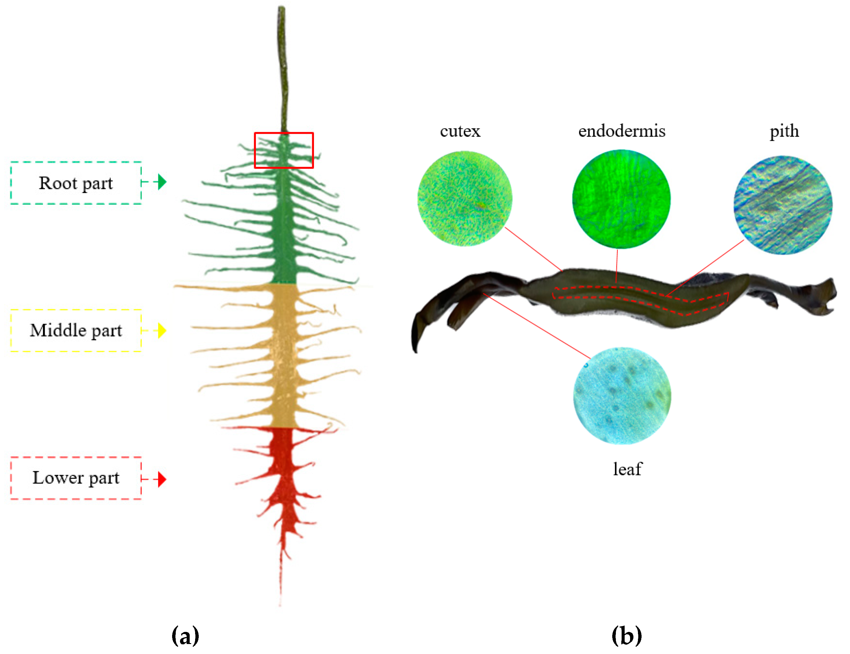 Processes 11 00552 g001