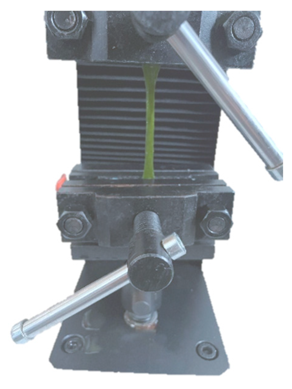 Processes 11 00552 g004