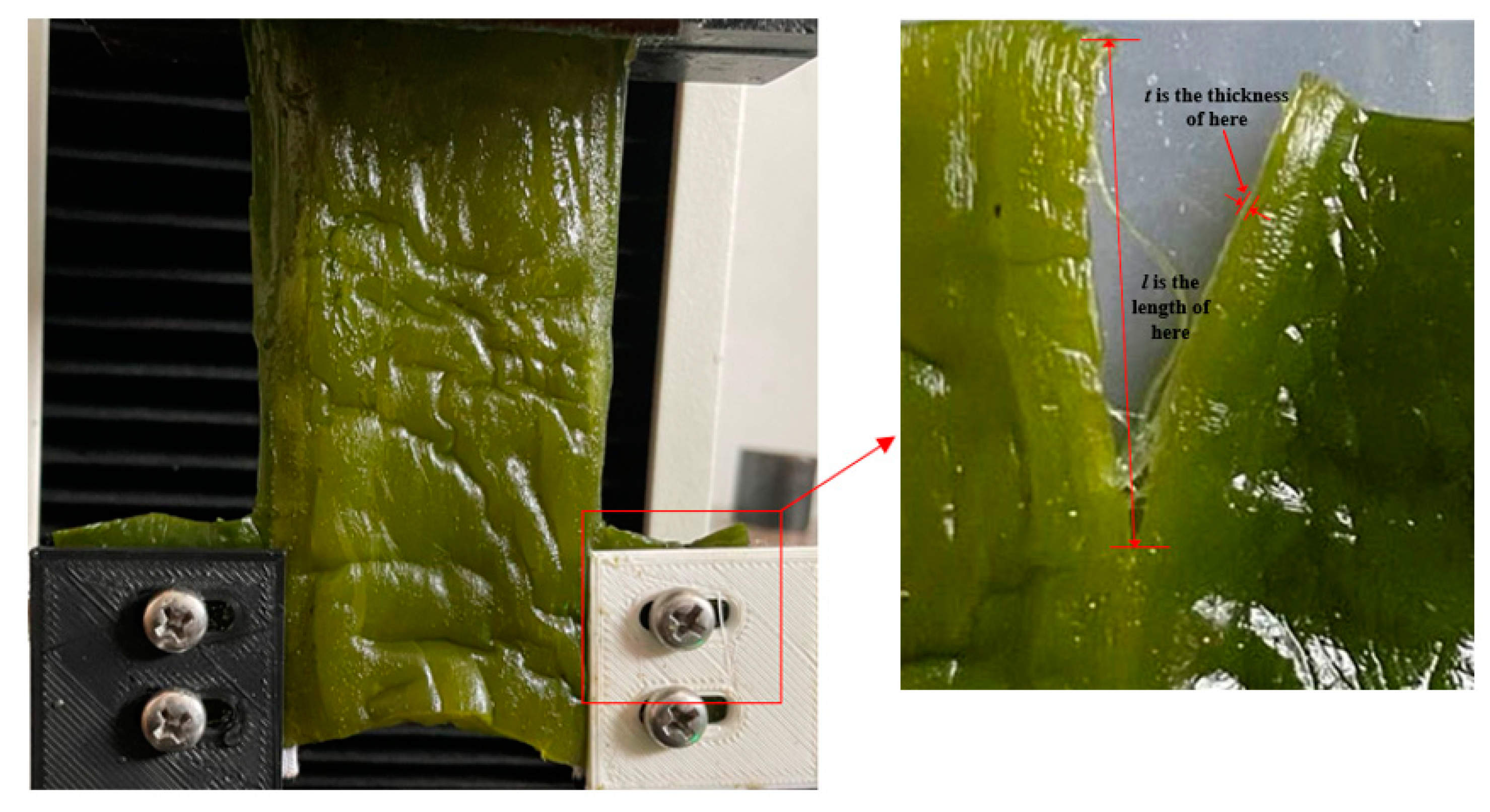 Processes 11 00552 g011