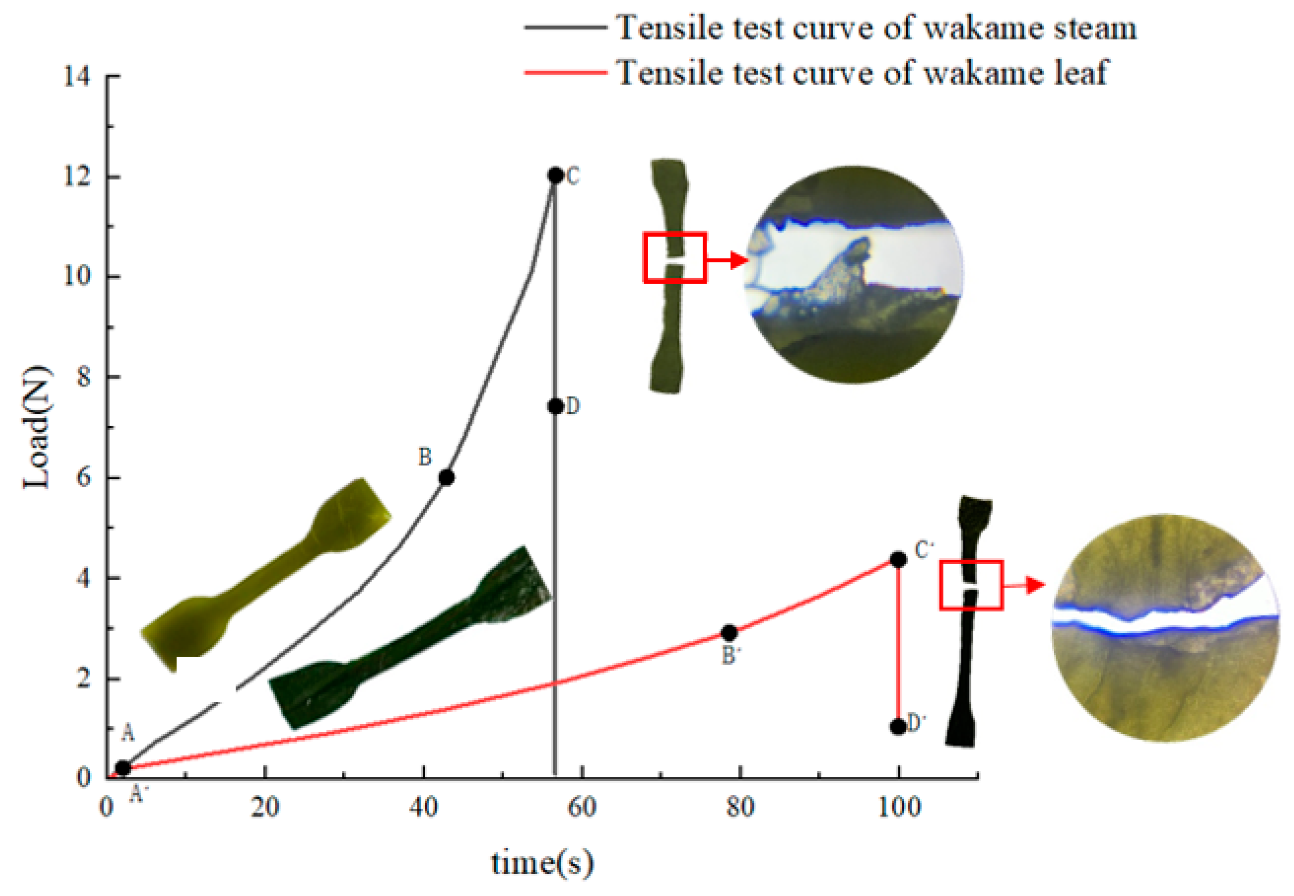 Processes 11 00552 g013