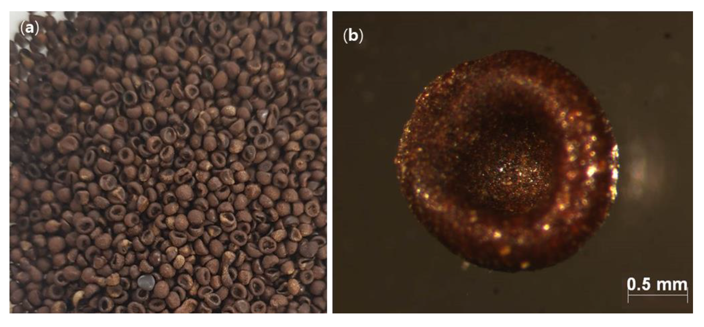 Processes 11 00581 g003