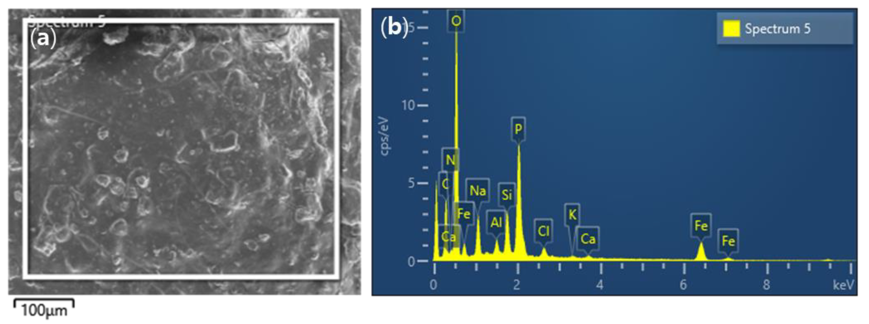 Processes 11 00581 g004