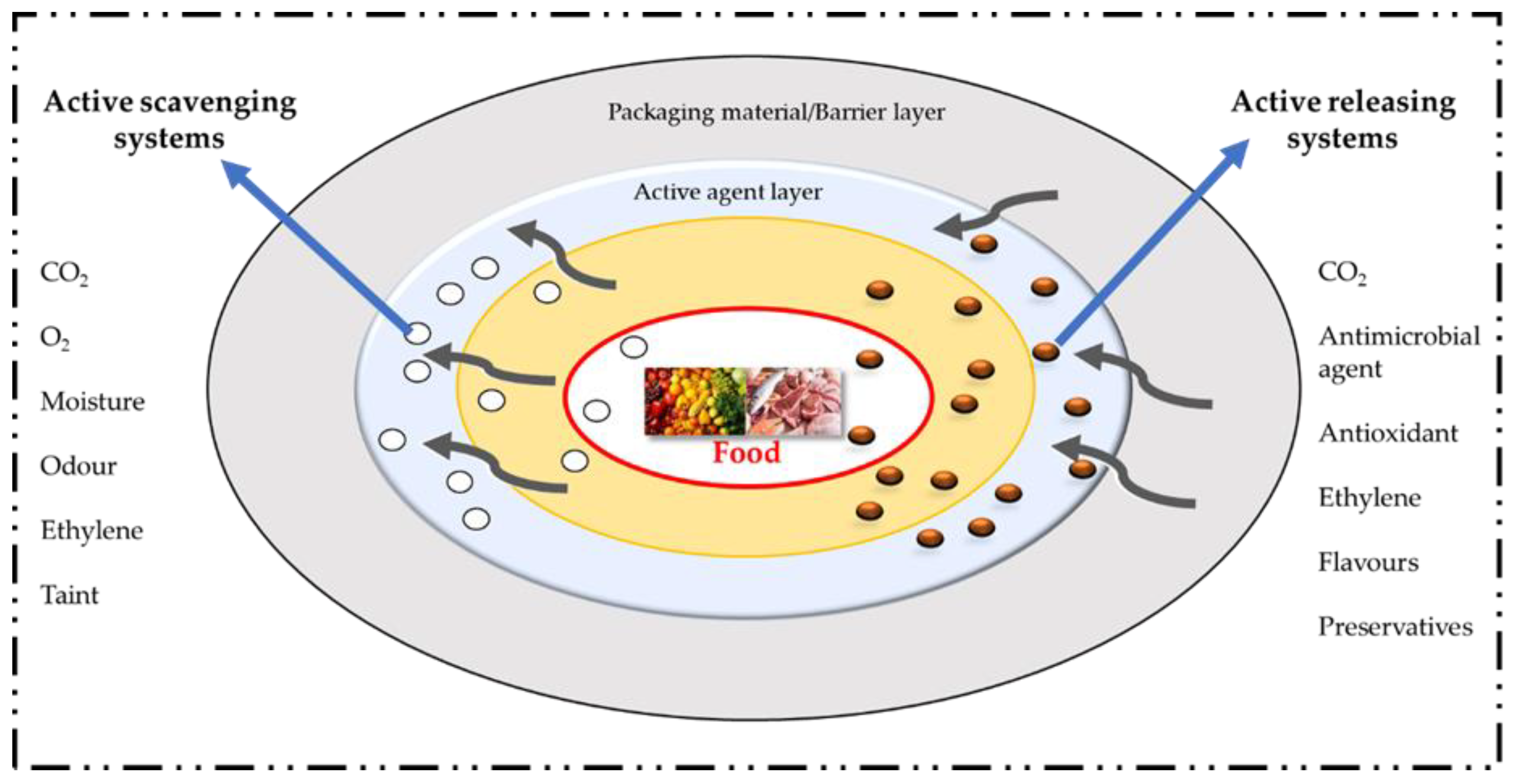 Processes 11 00590 g001