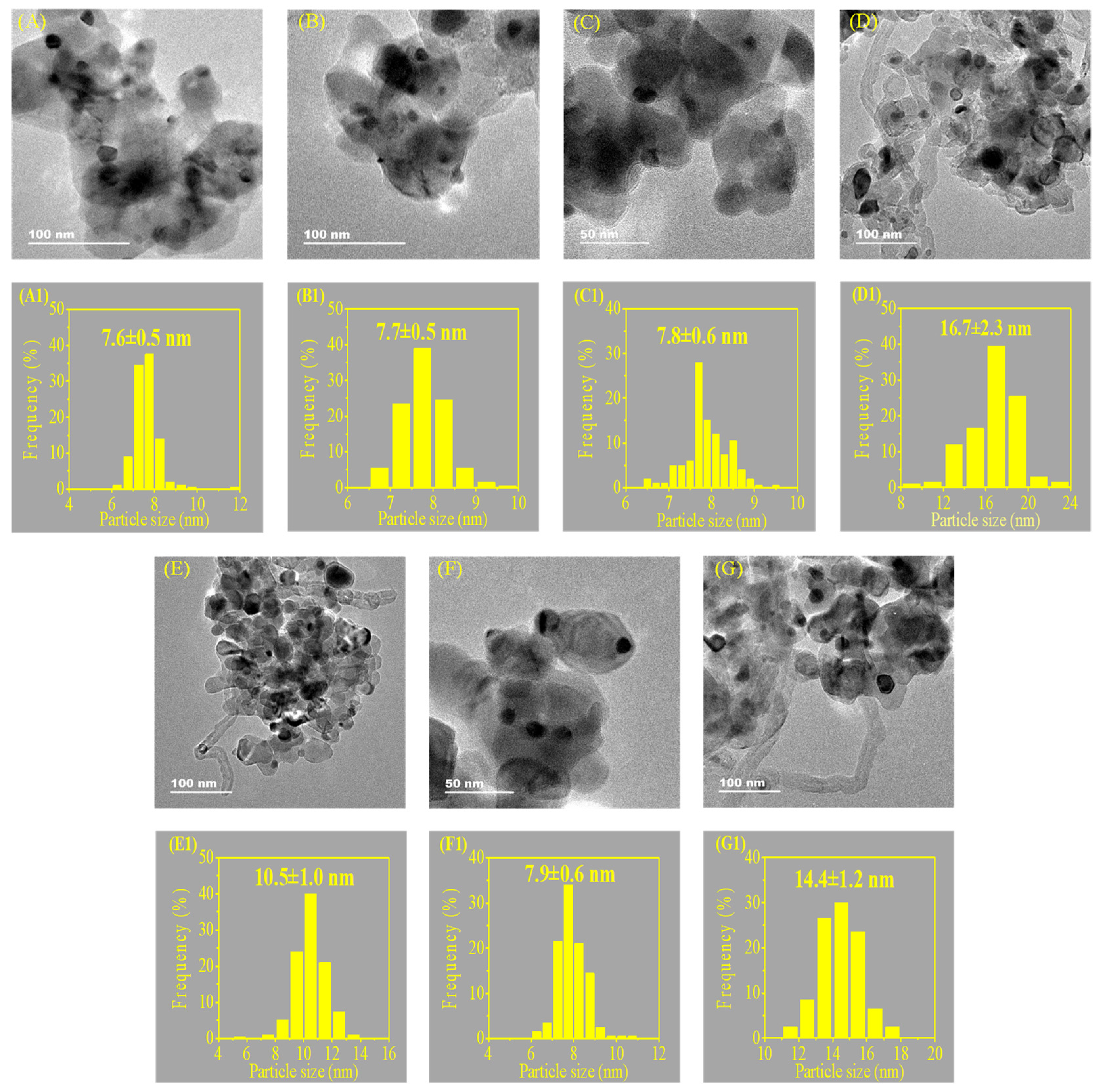 Processes 11 00596 g005