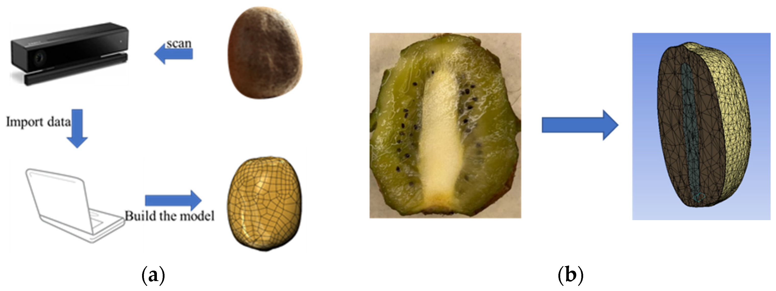 Processes 11 00598 g002