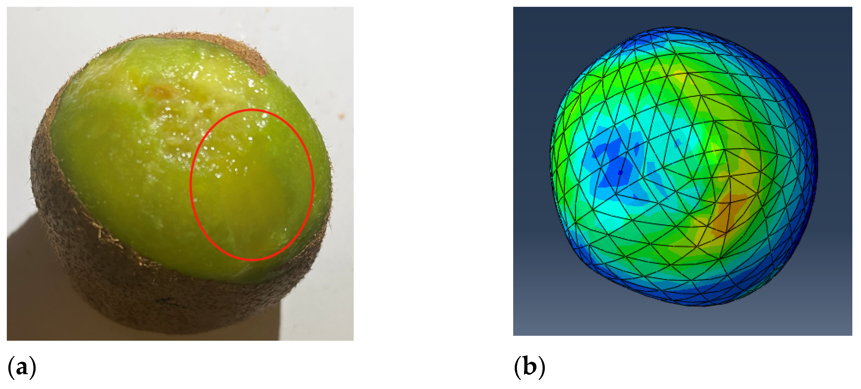 Processes 11 00598 g010