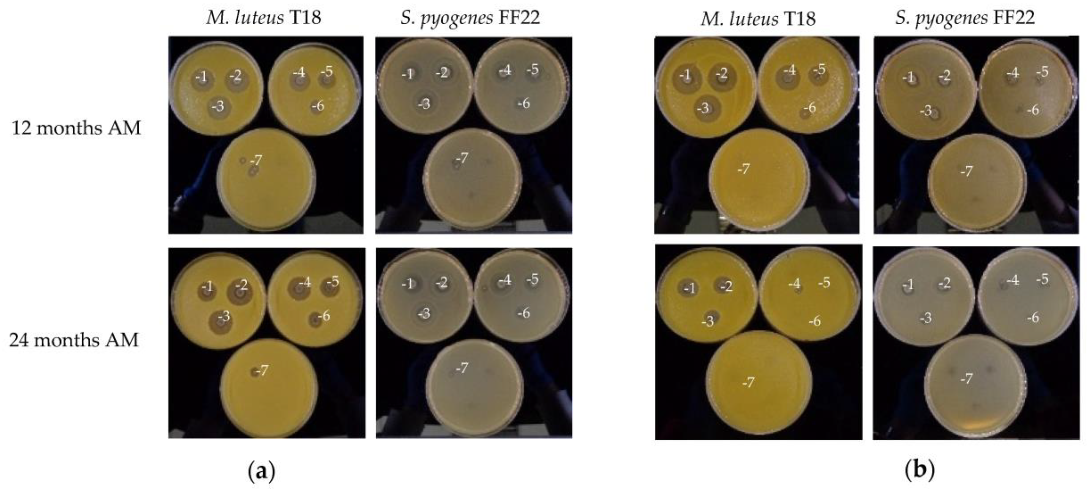 Processes 11 00622 g002 Processes 11 00622 g002