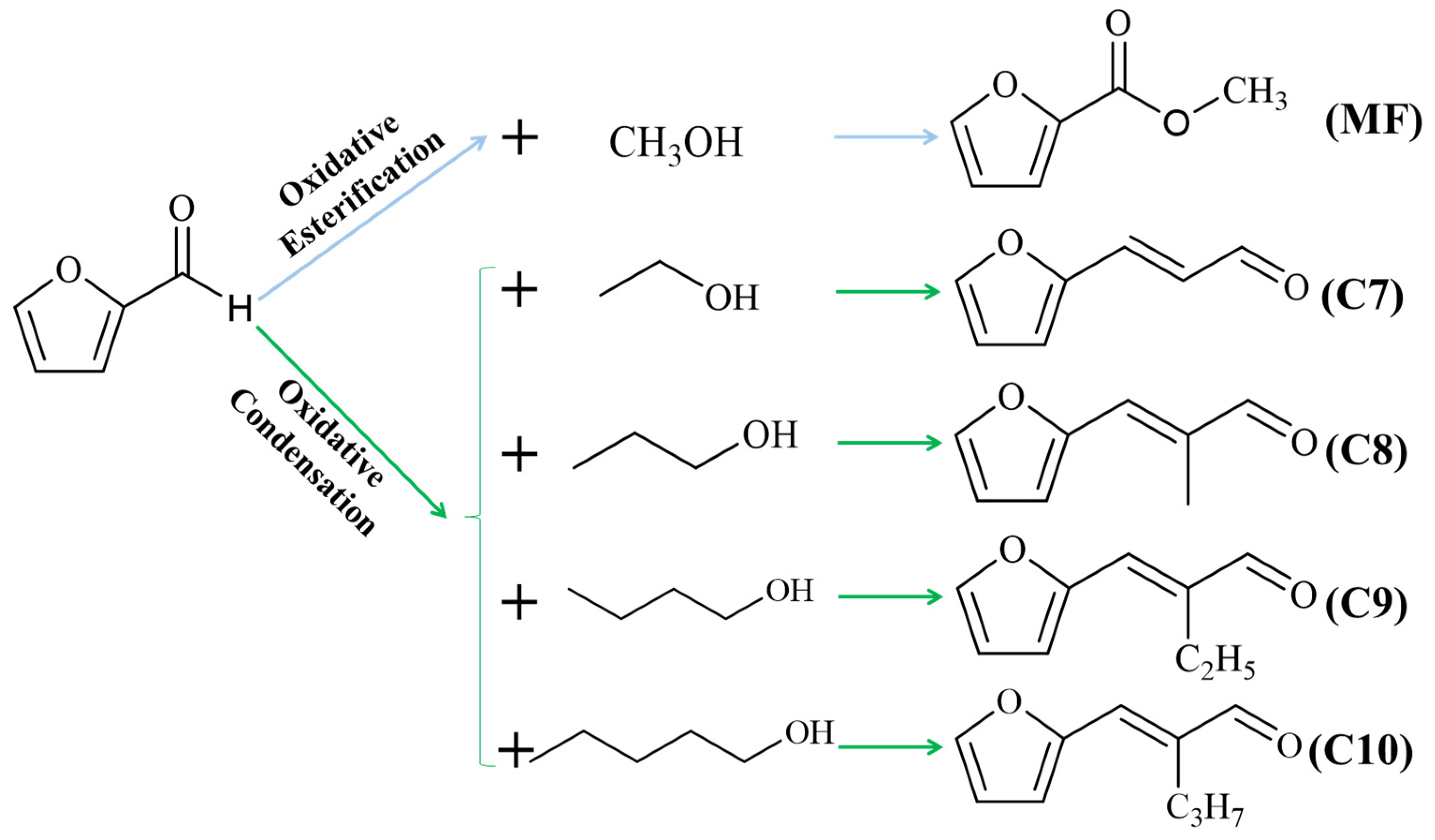 Processes 11 00640 g001