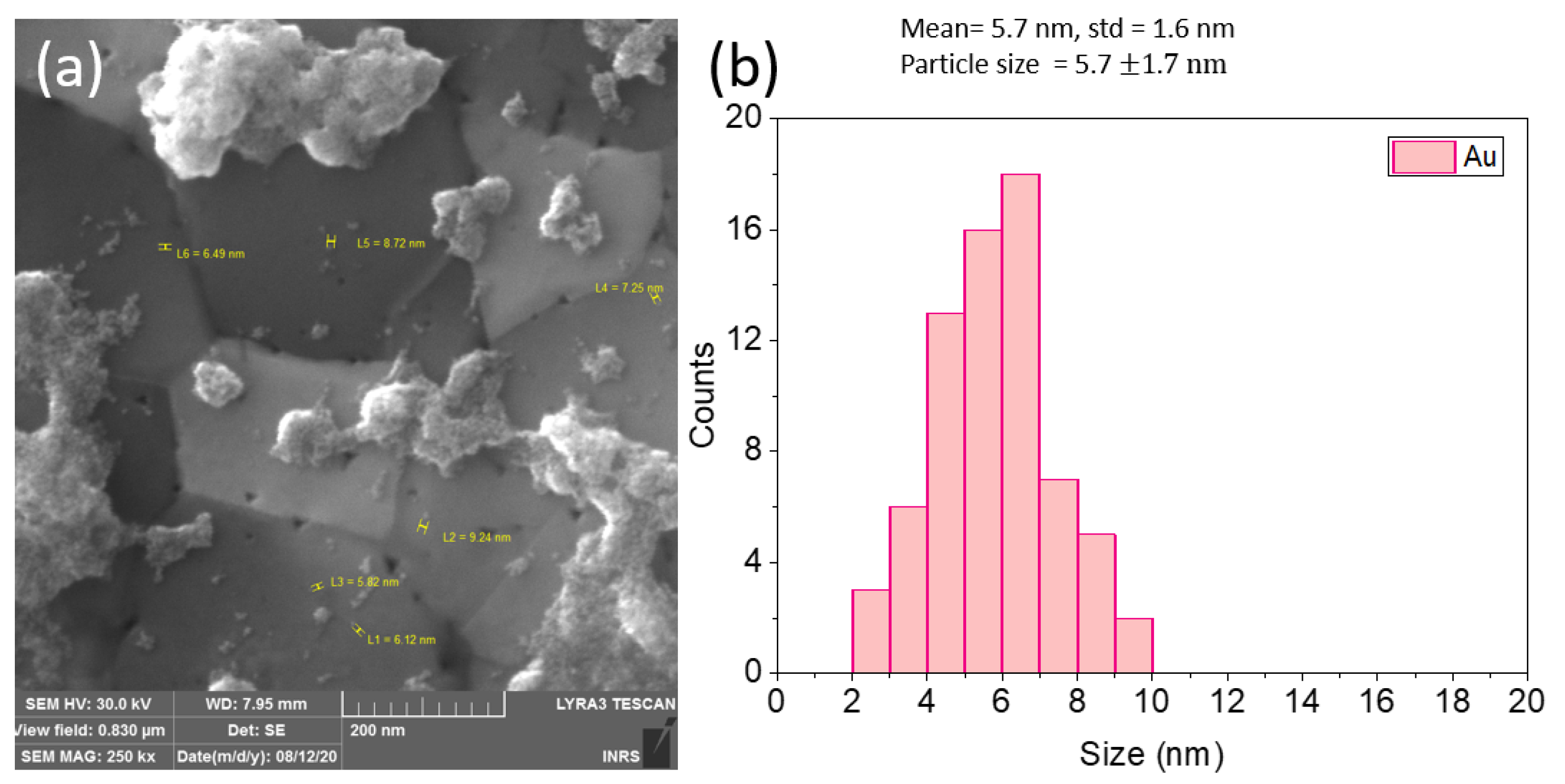 Processes 11 00642 g001