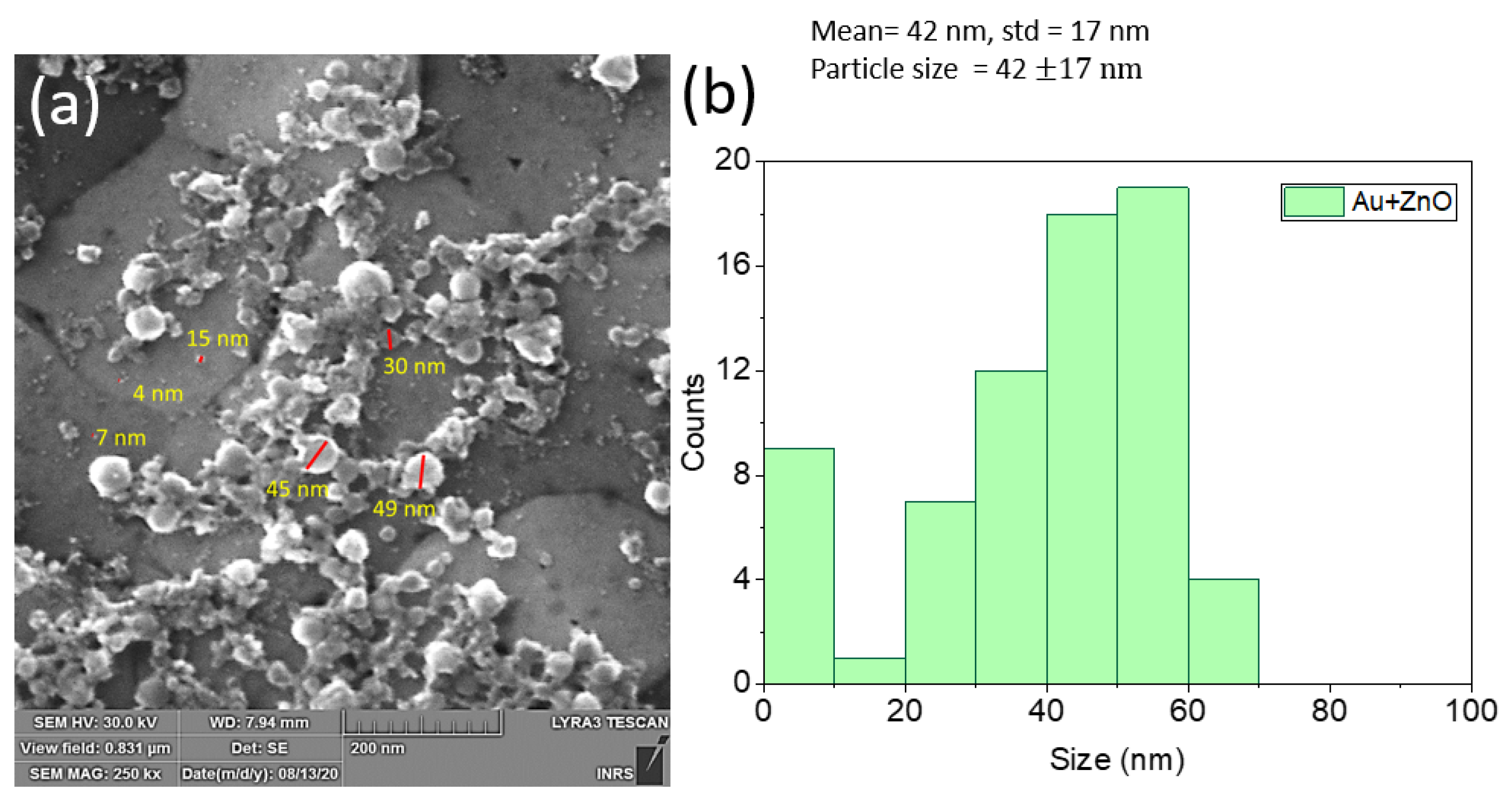 Processes 11 00642 g003