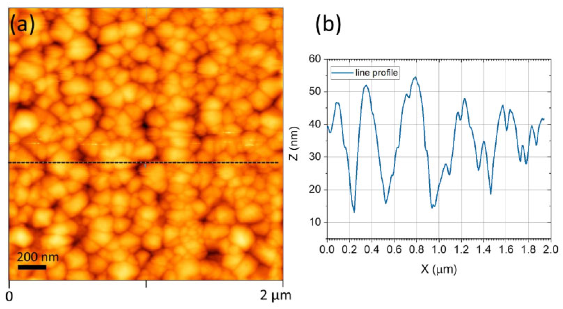 Processes 11 00642 g005