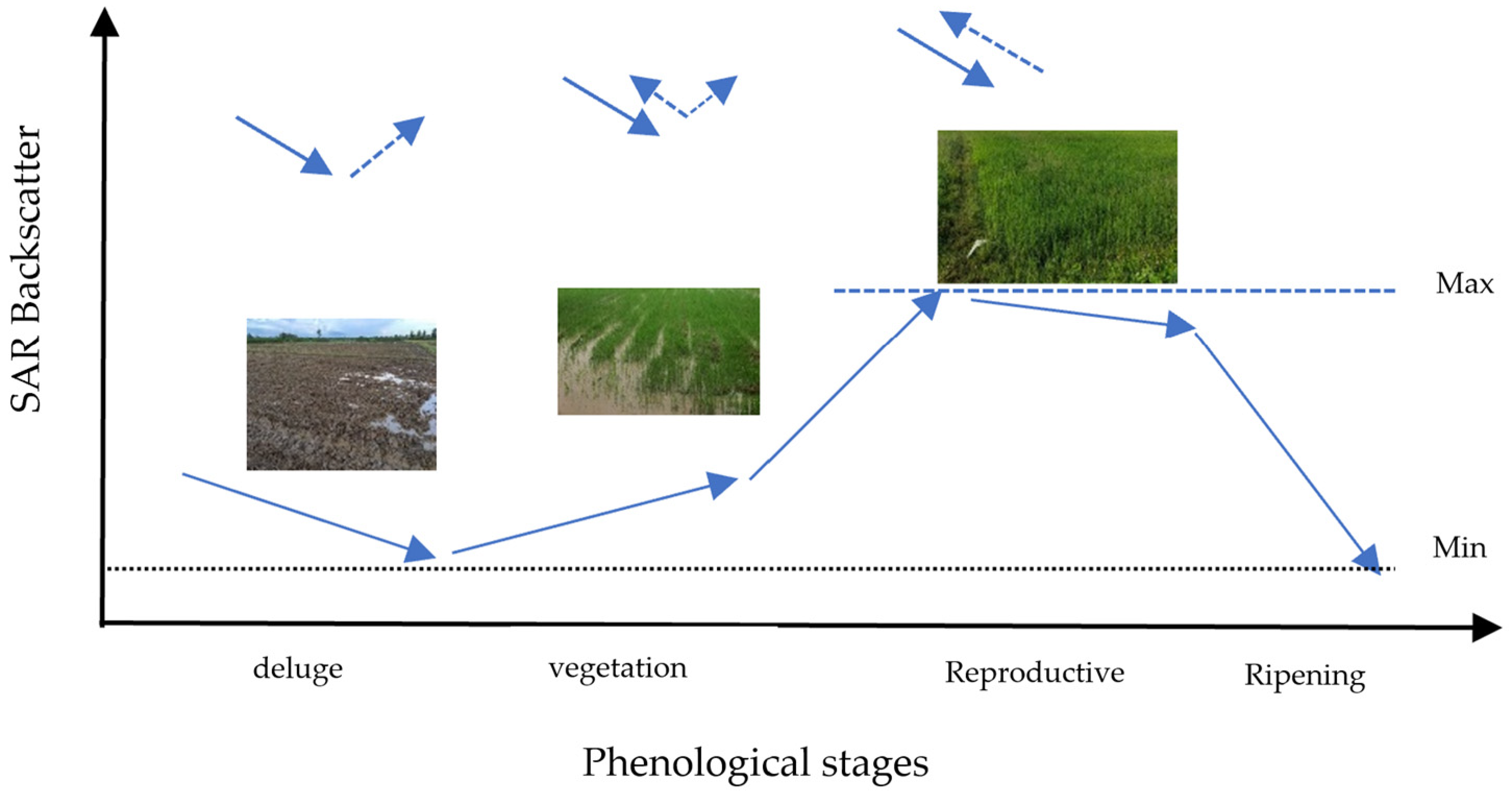 Processes 11 00647 g001 Processes 11 00647 g001