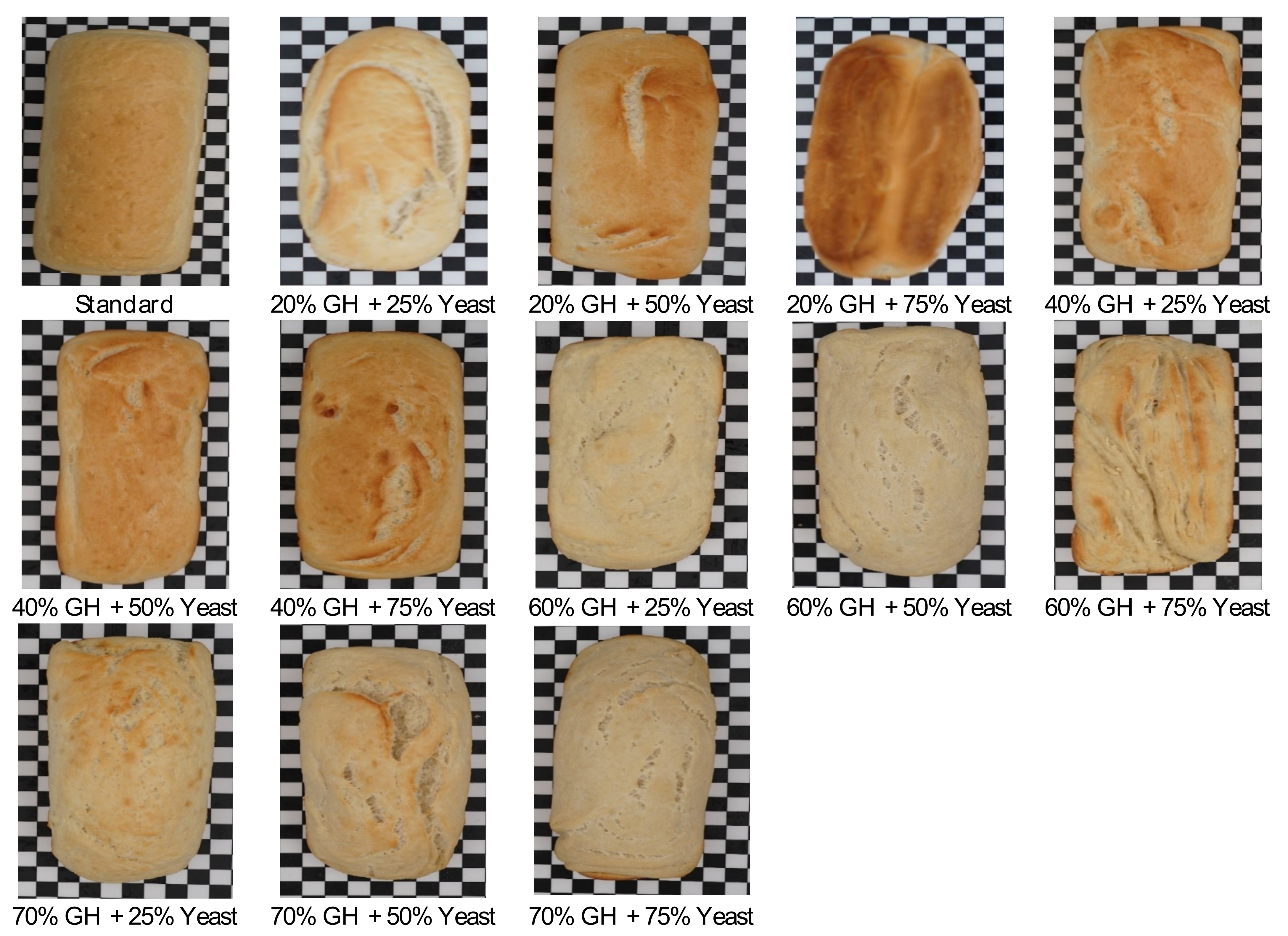 Processes 11 00653 g002