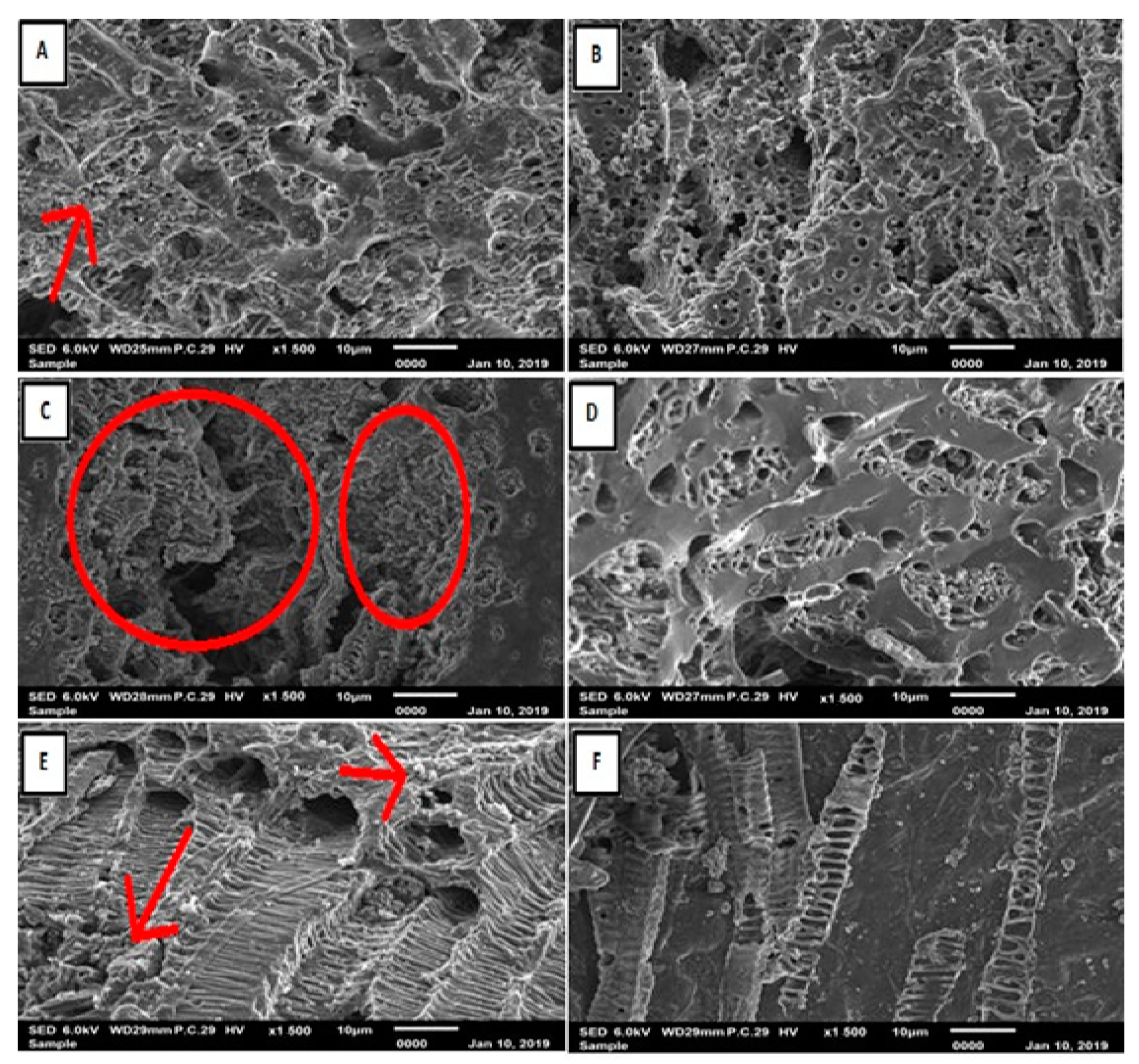 Processes 11 00655 g002