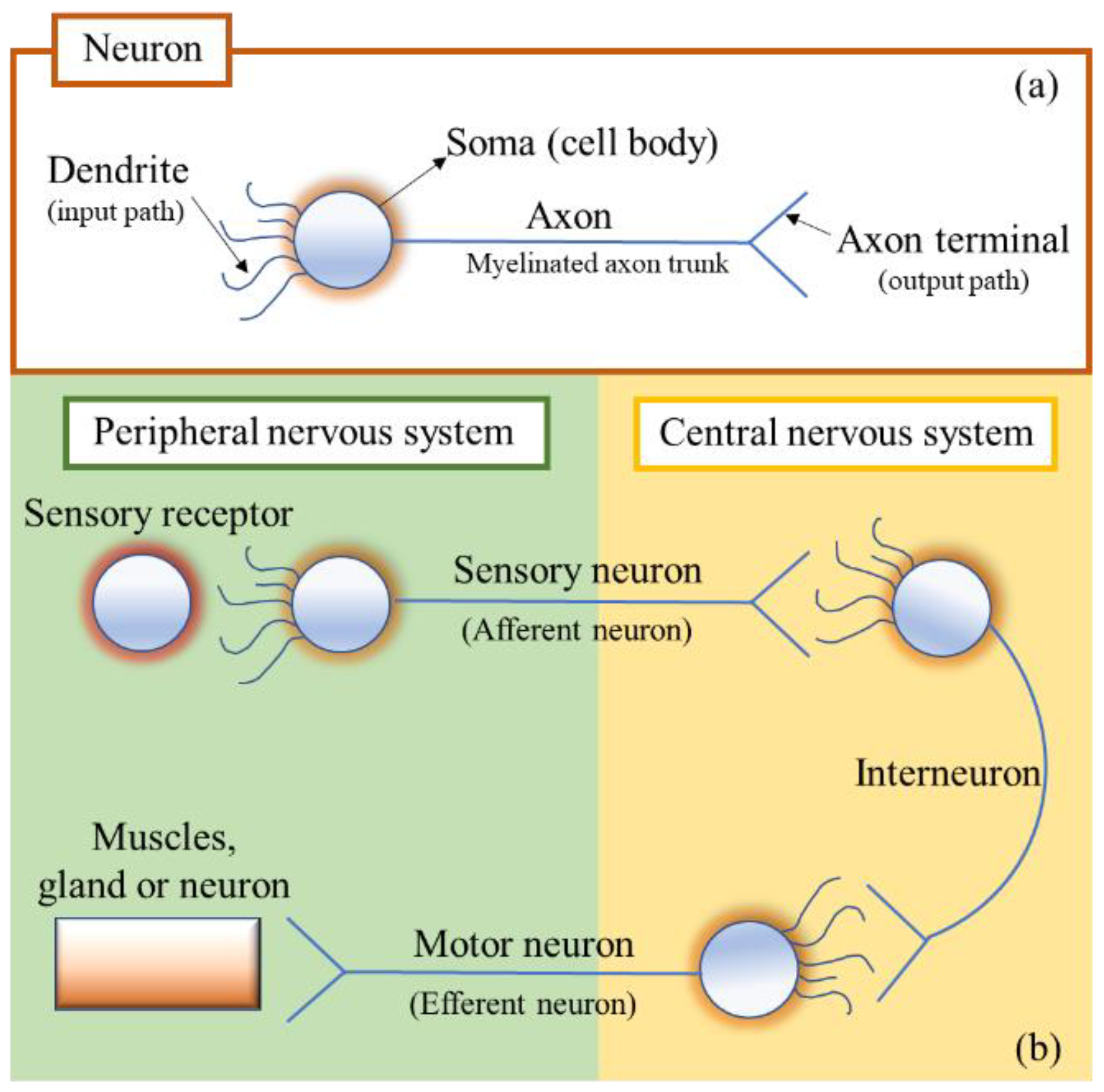 Processes 11 00661 g005