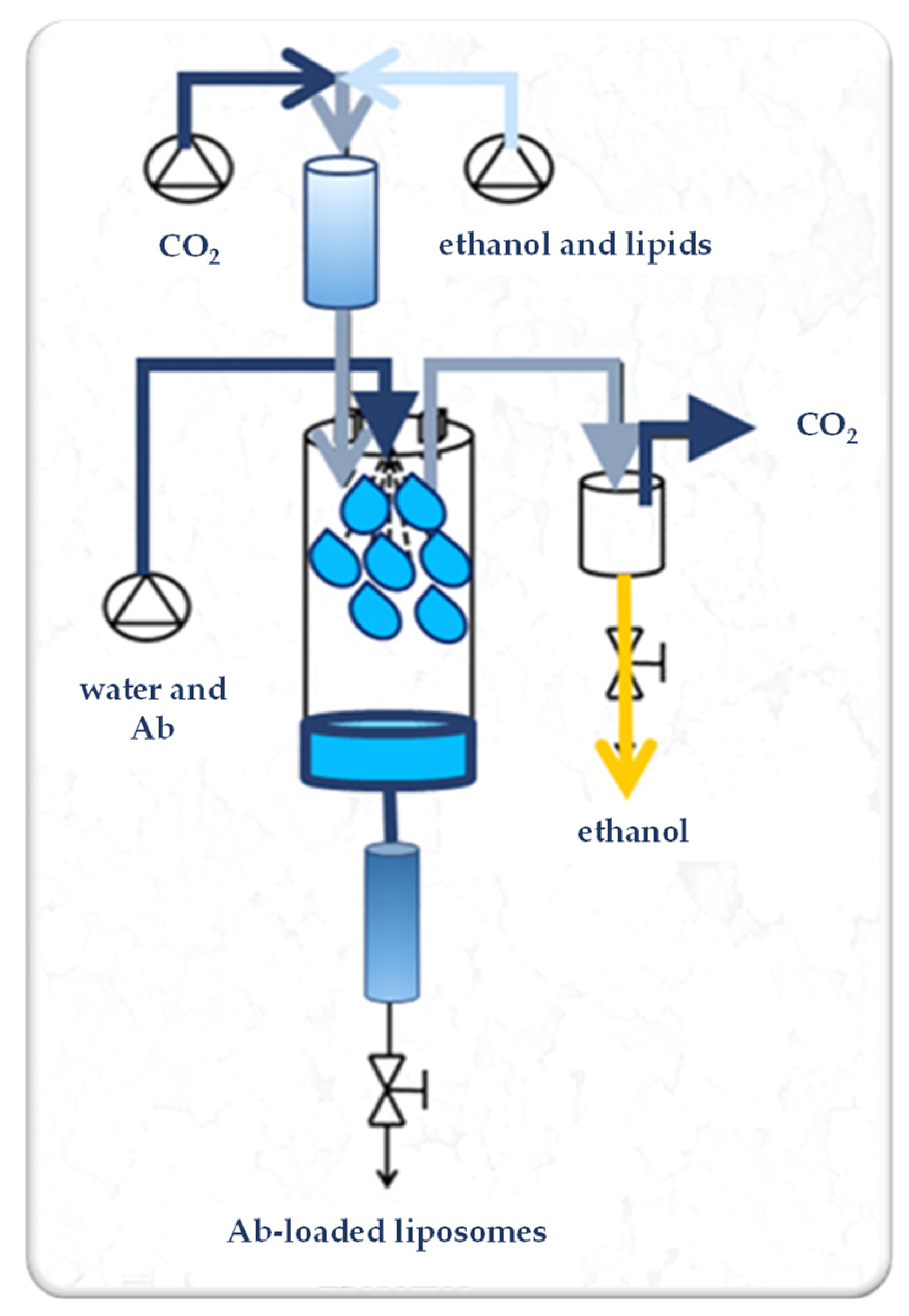 Processes 11 00663 g001