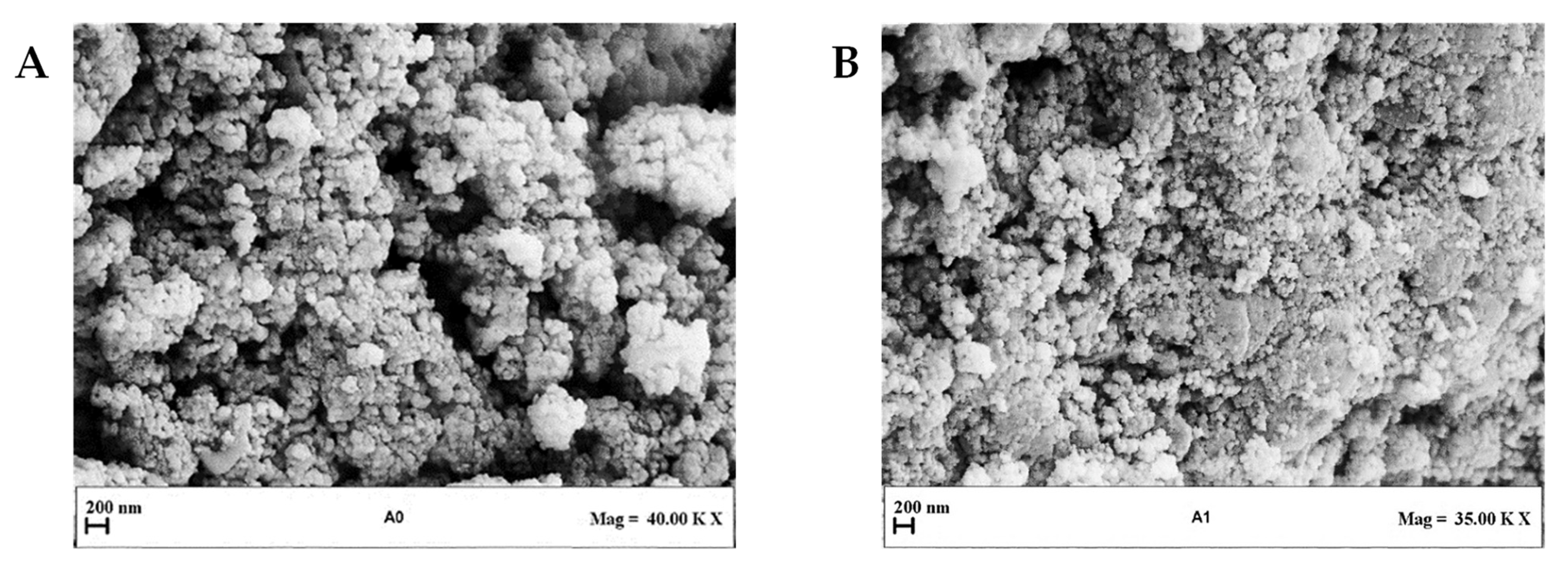 Processes 11 00663 g003
