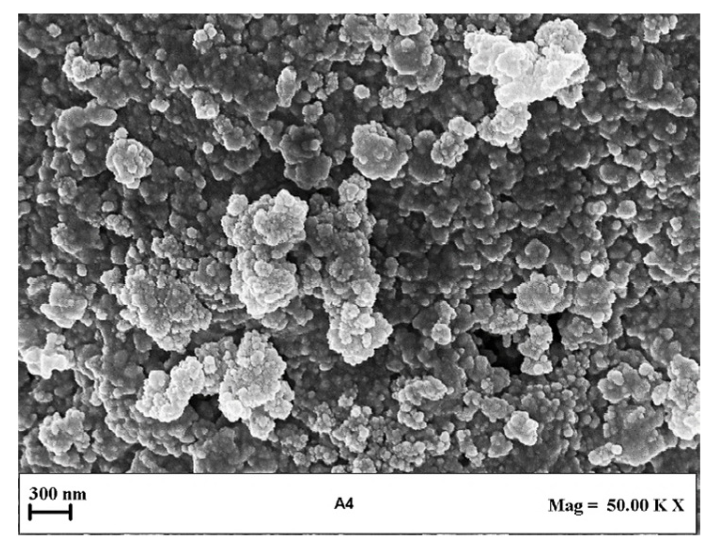 Processes 11 00663 g005