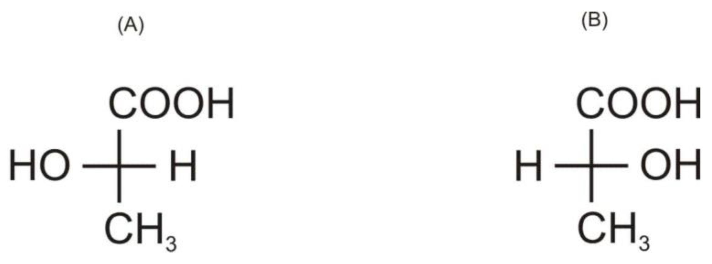 Processes 11 00688 g002