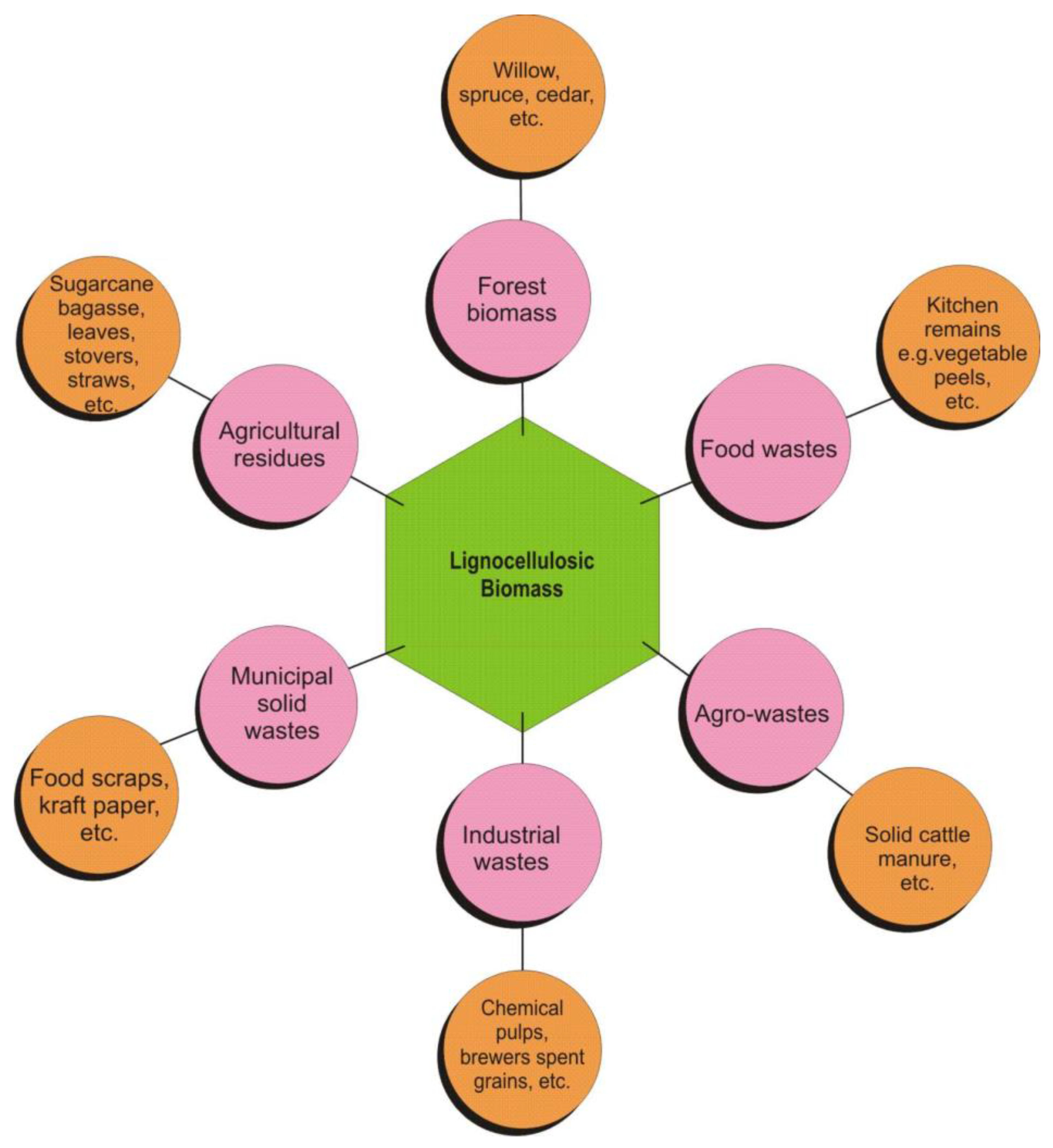 Processes 11 00688 g004