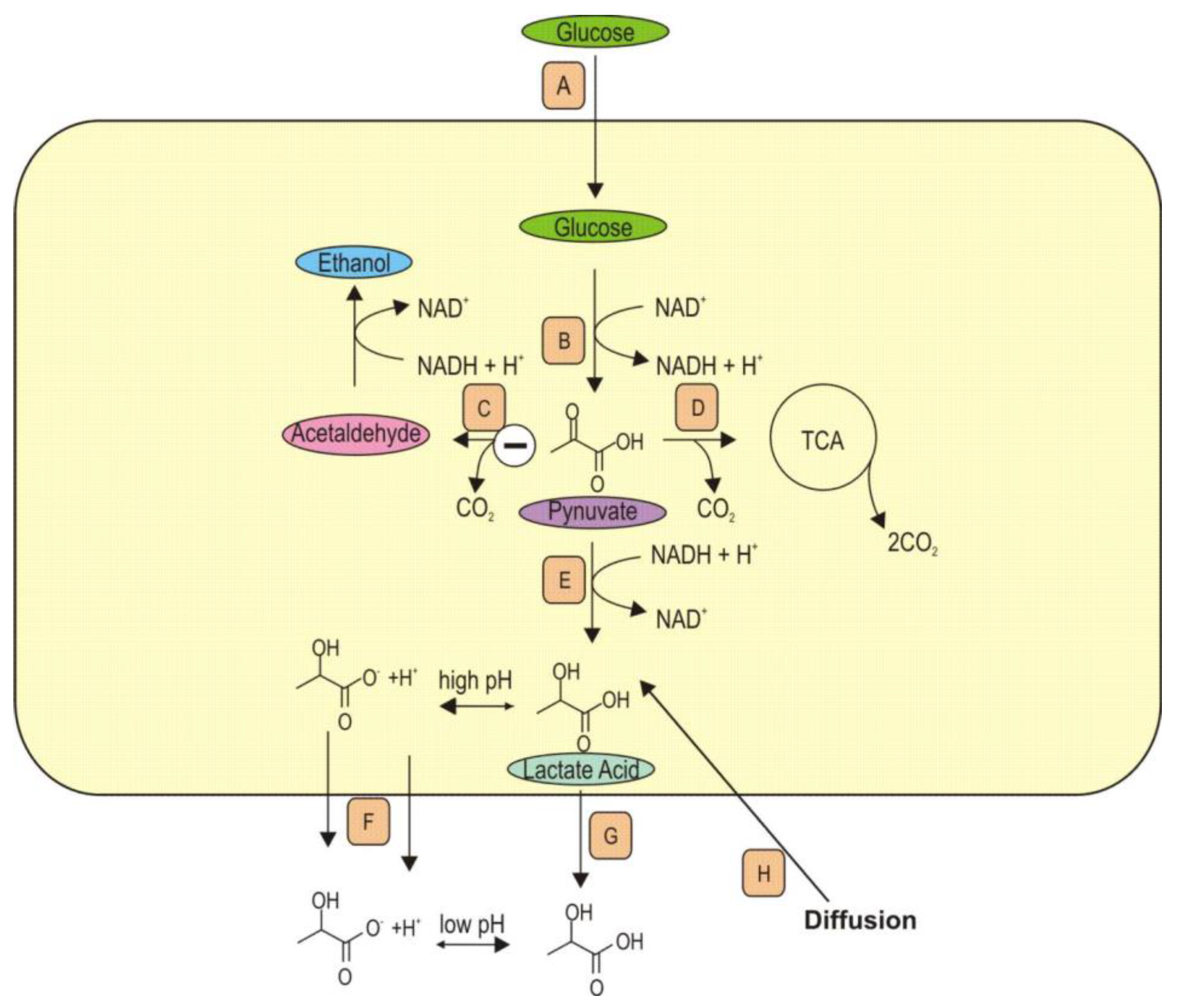 Processes 11 00688 g007