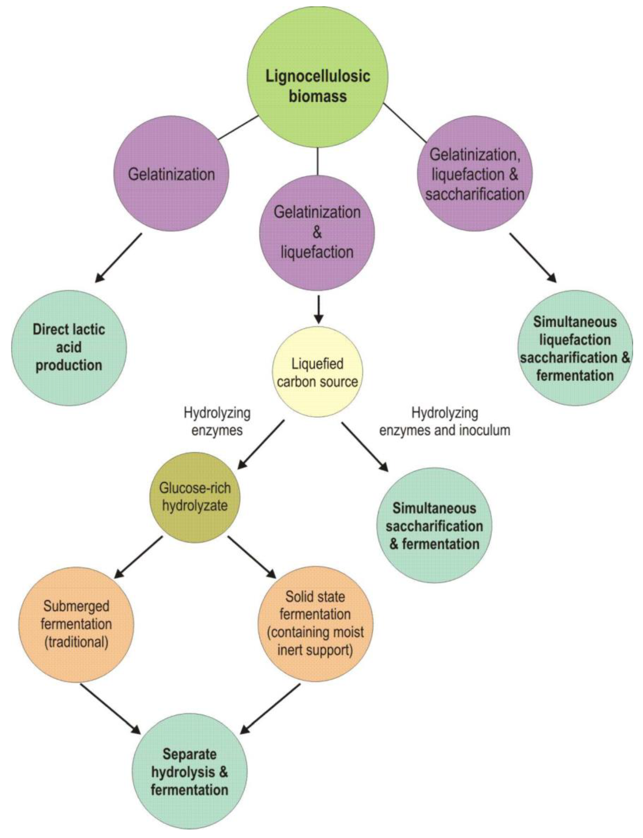 Processes 11 00688 g008