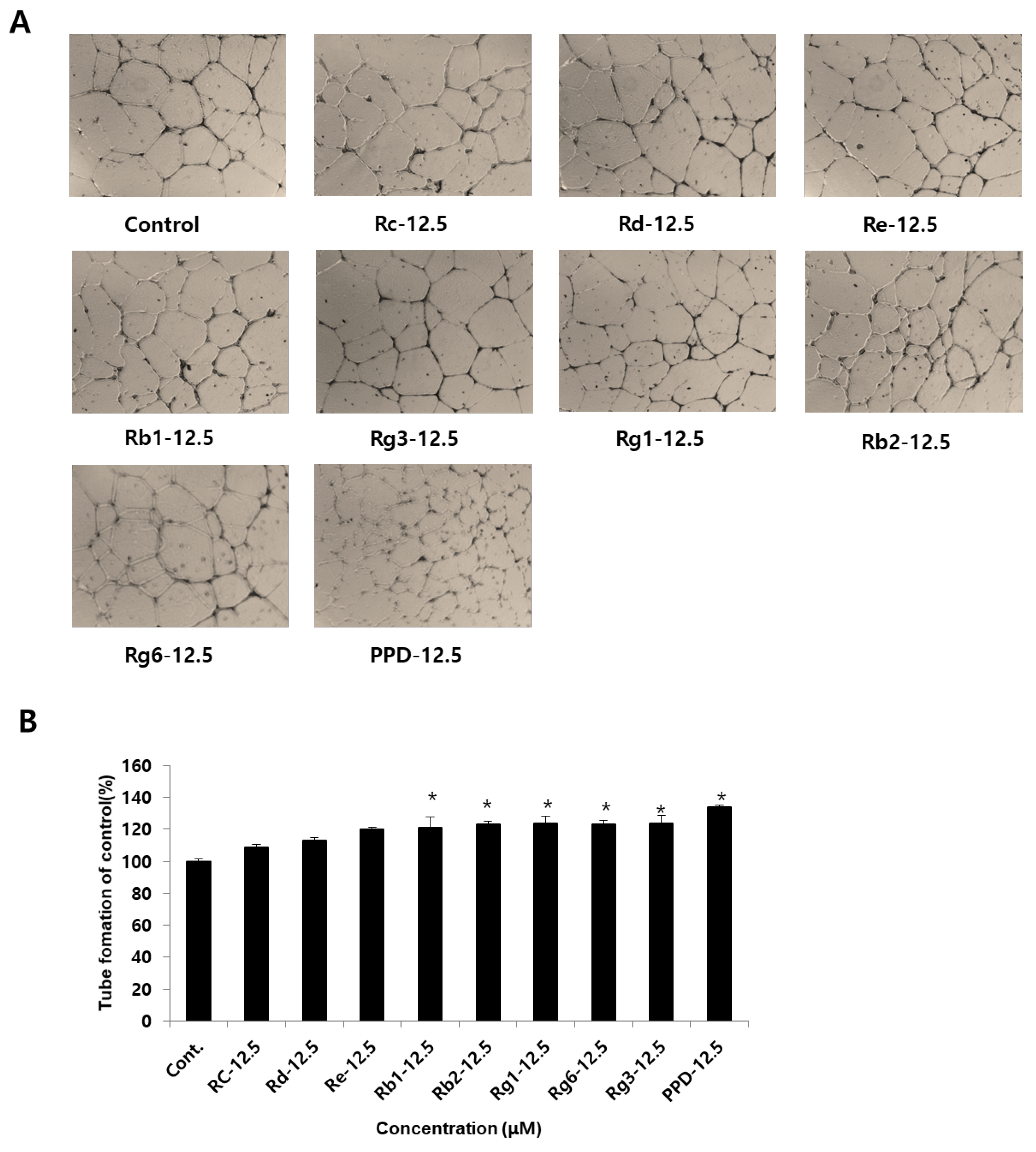Processes 11 00692 g004