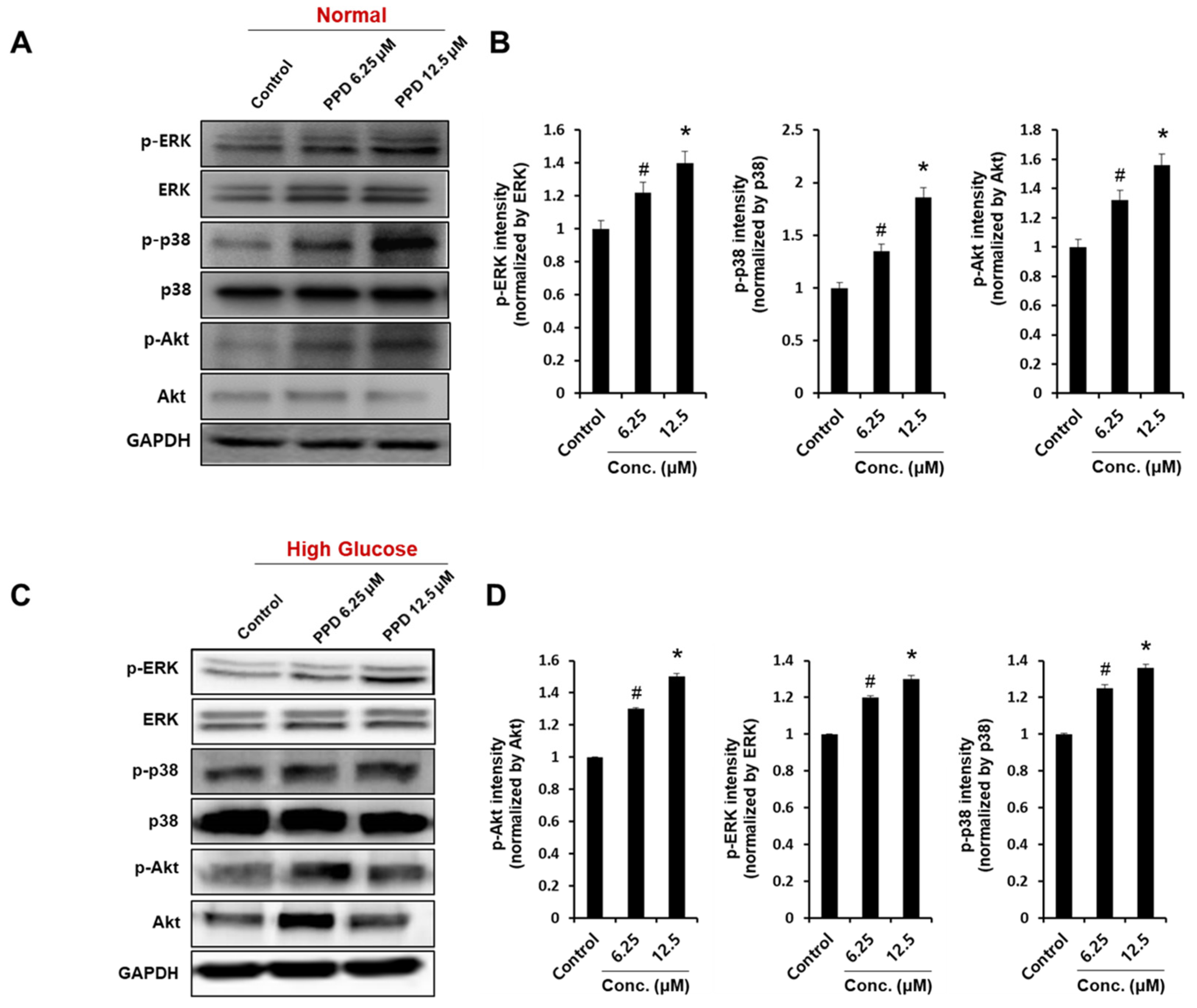 Processes 11 00692 g006