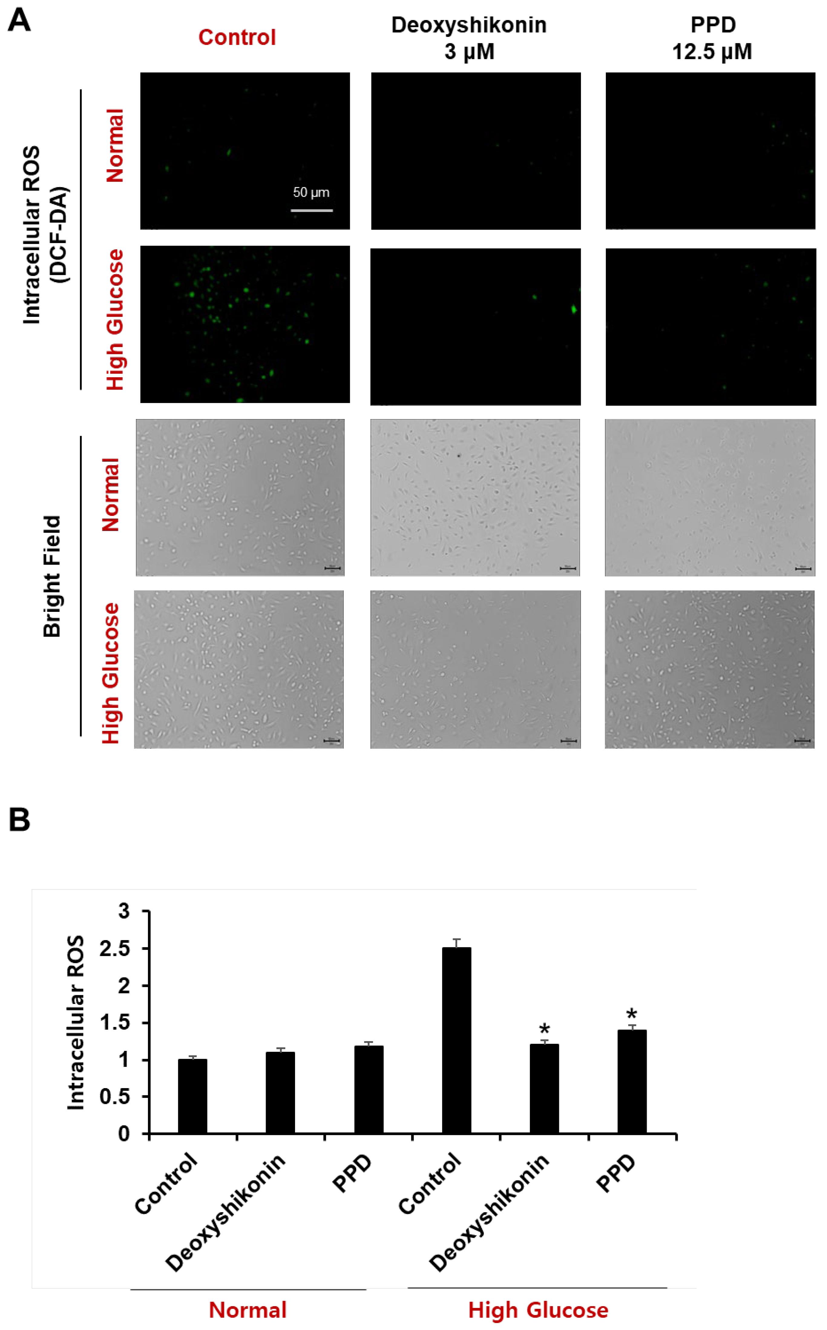 Processes 11 00692 g008