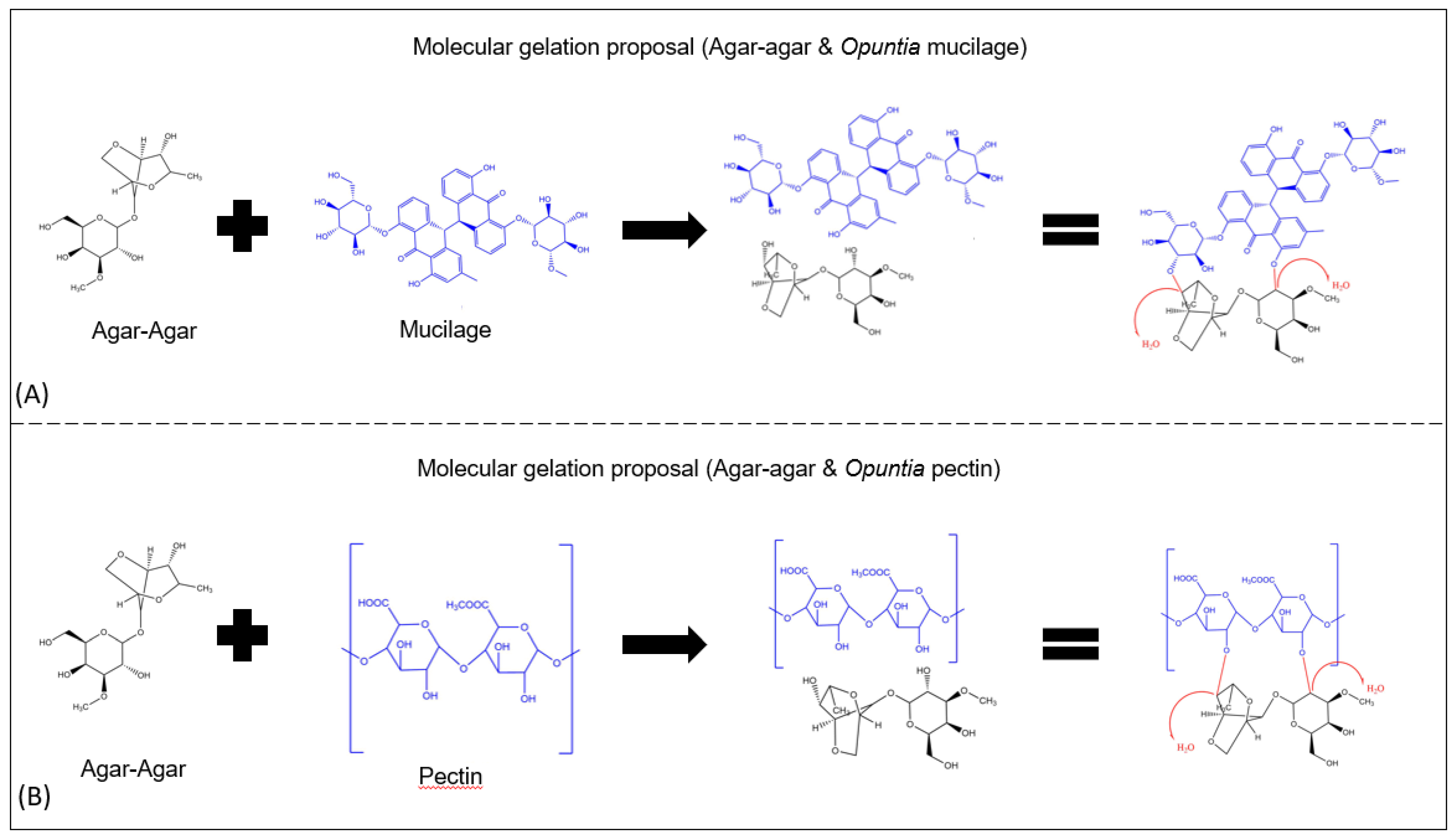 Processes 11 00717 g002