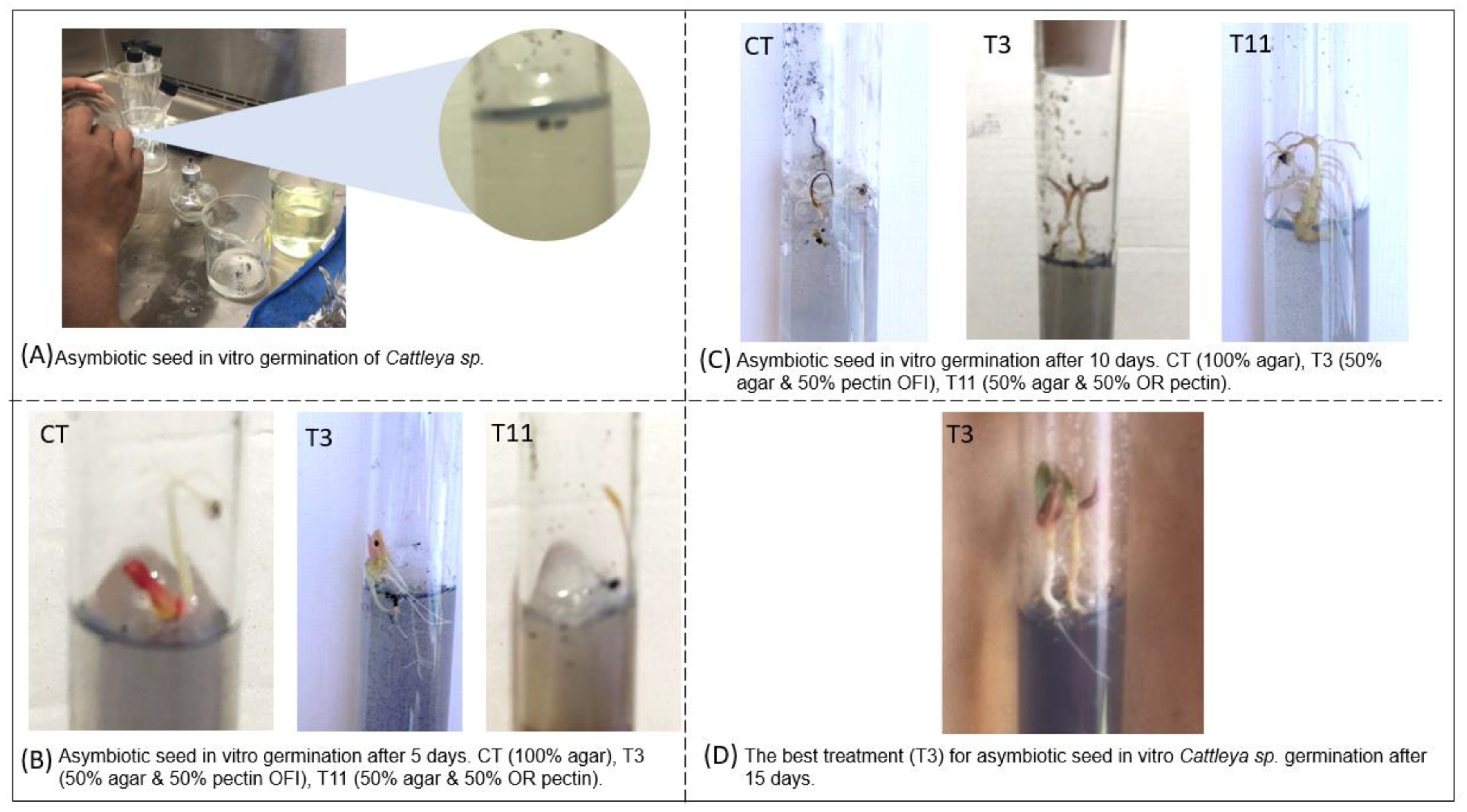 Processes 11 00717 g003