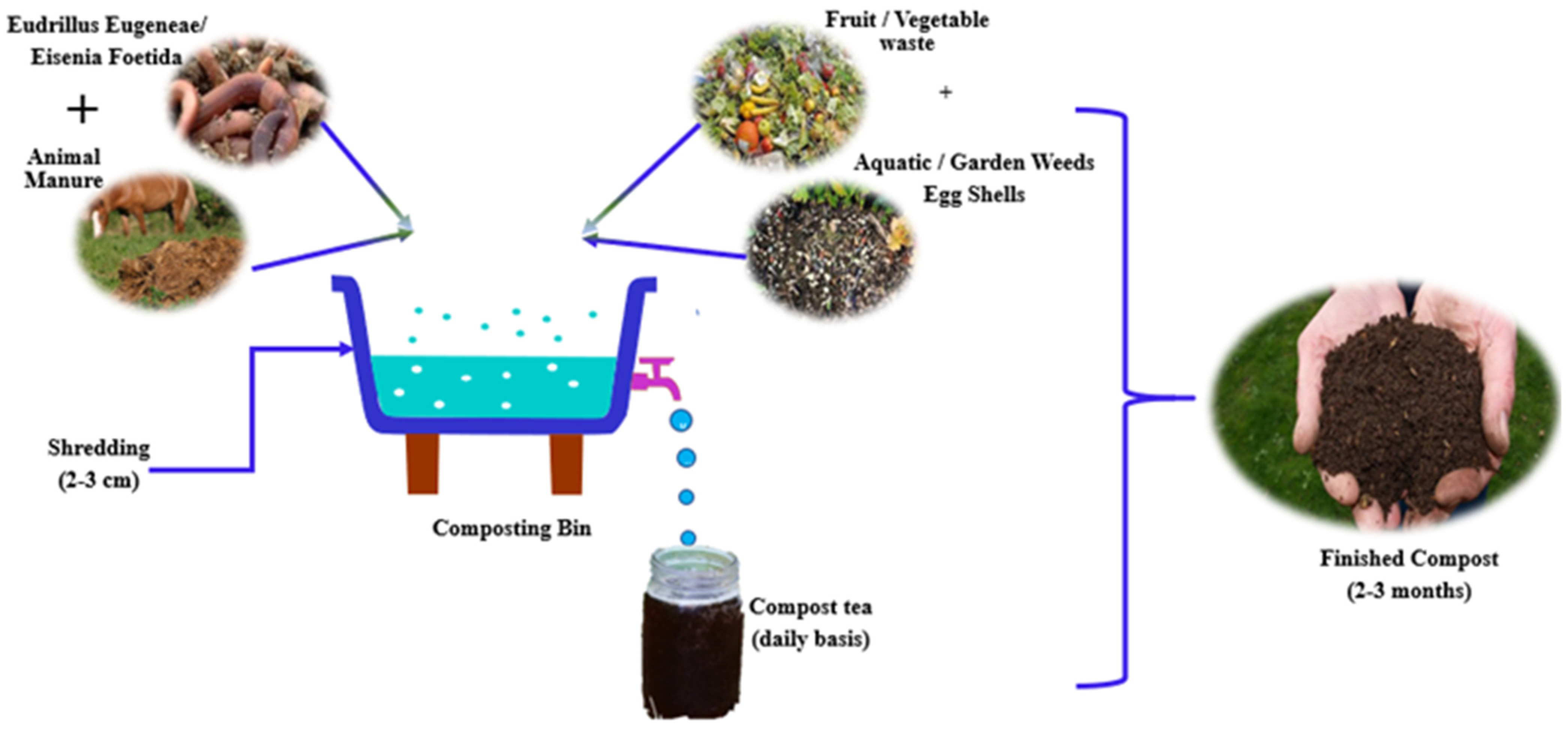Processes 11 00731 g003