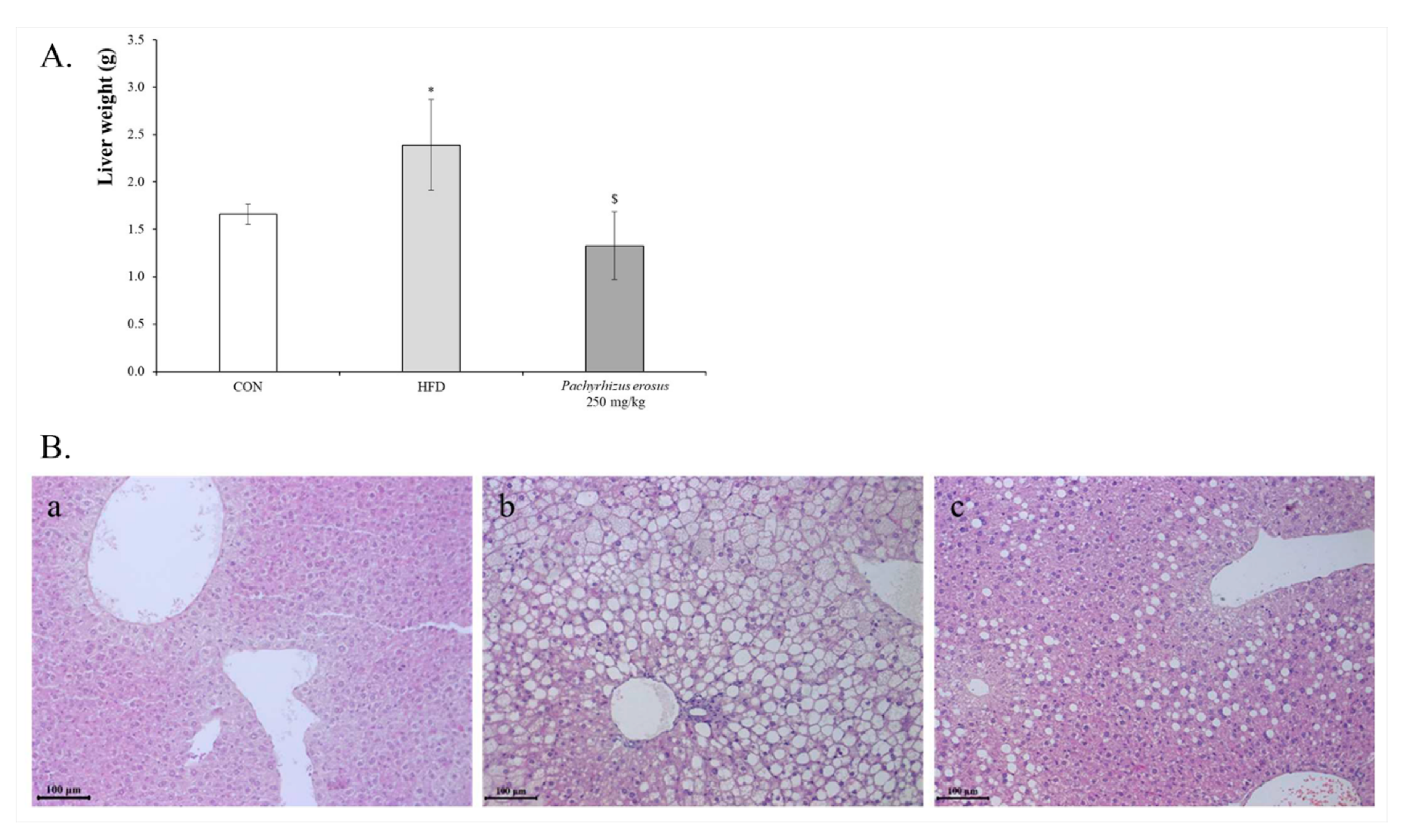 Processes 11 00735 g004