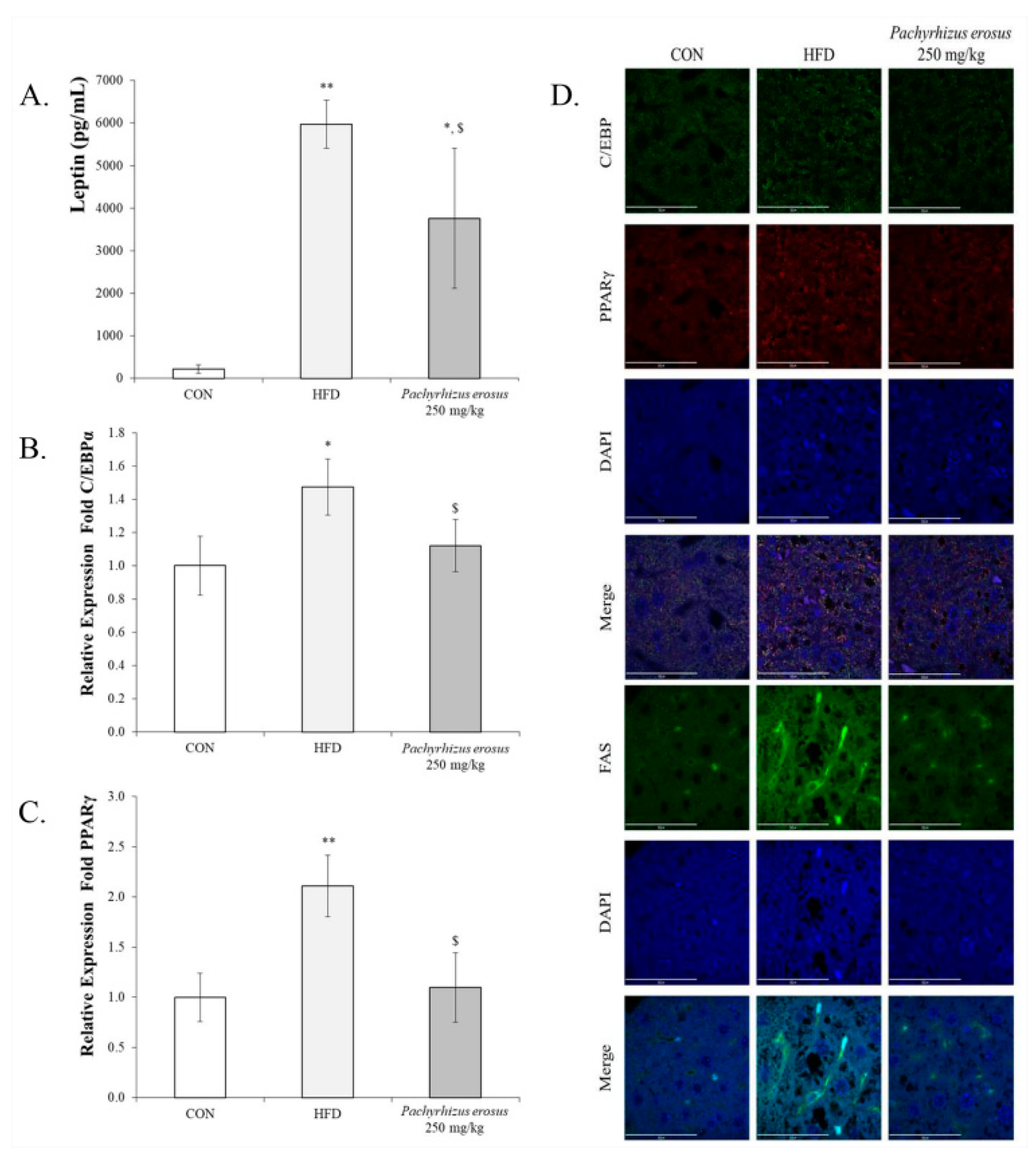 Processes 11 00735 g005