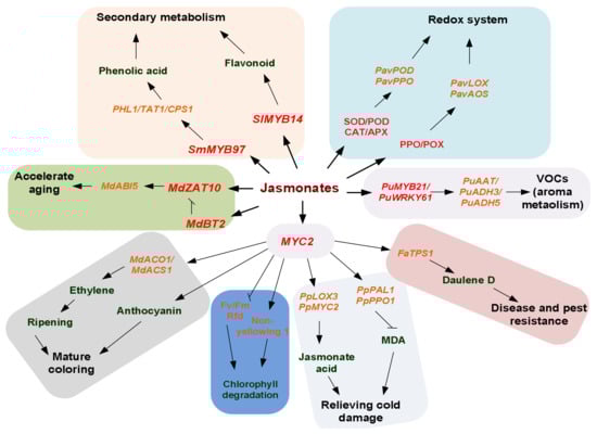 Processes 11 00736 g004