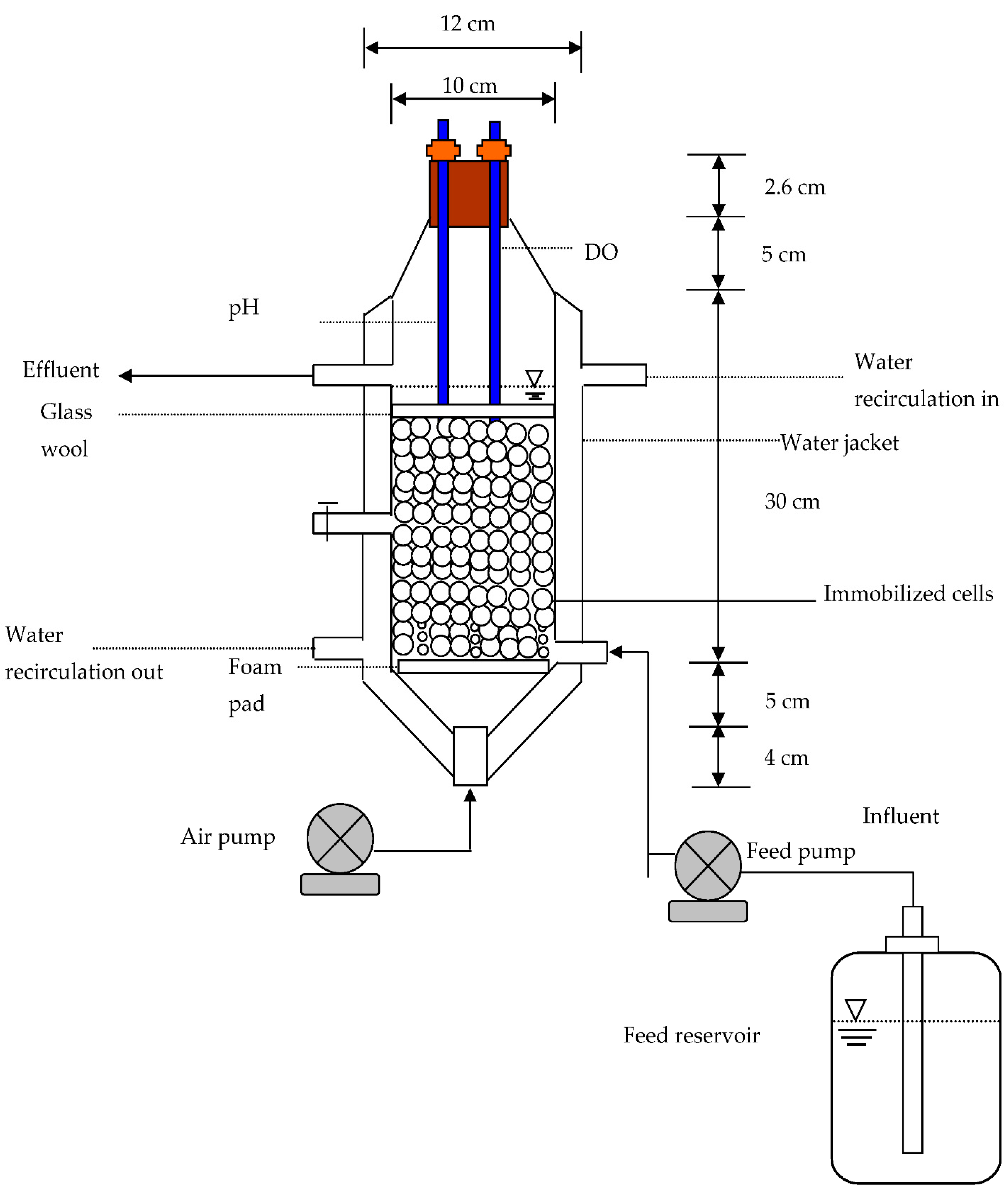 Processes 11 00739 g001
