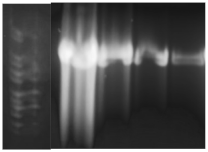 Processes 11 00745 i001