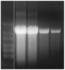 Processes 11 00745 i007