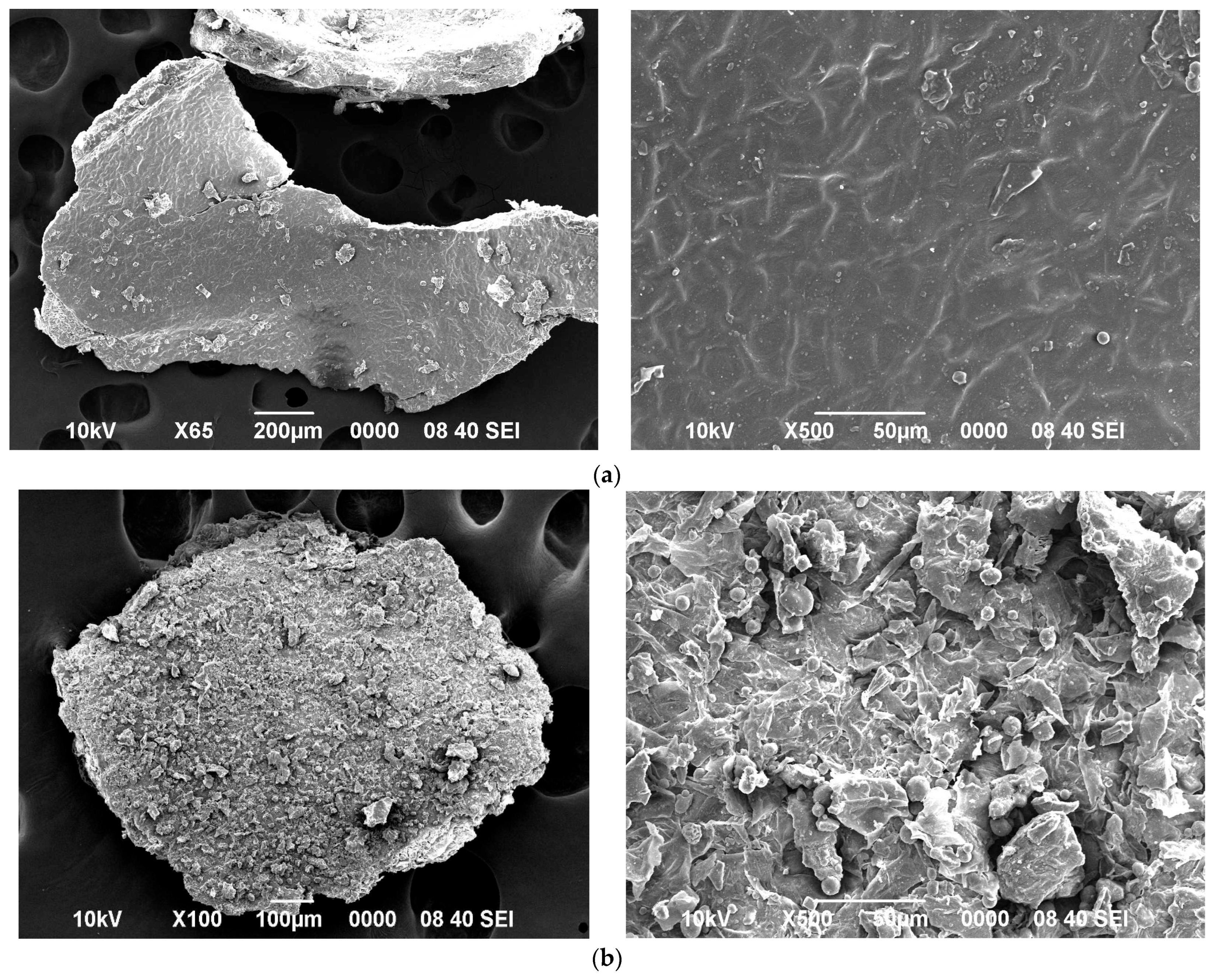 Processes 11 00751 g004