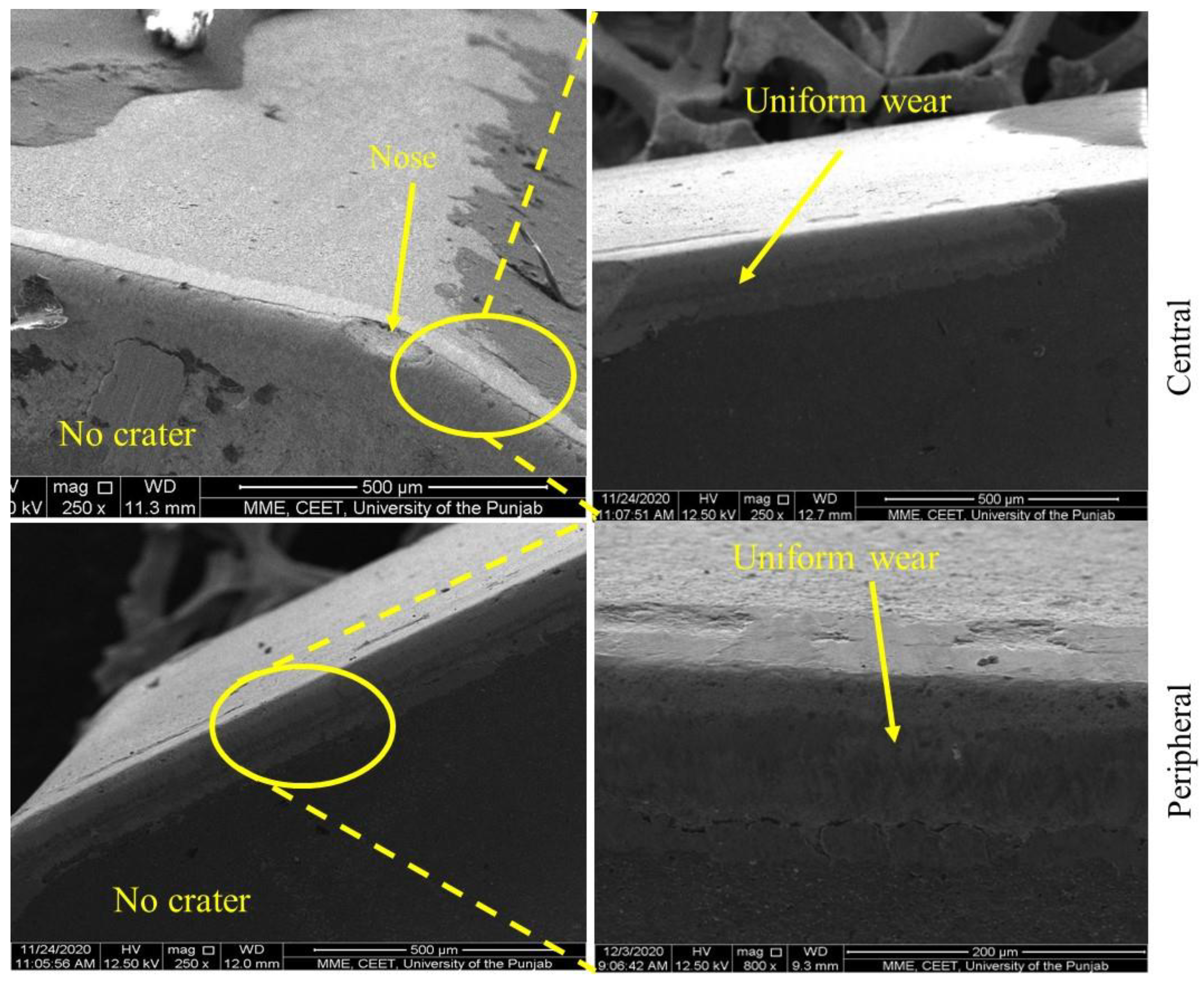 Processes 11 00752 g017