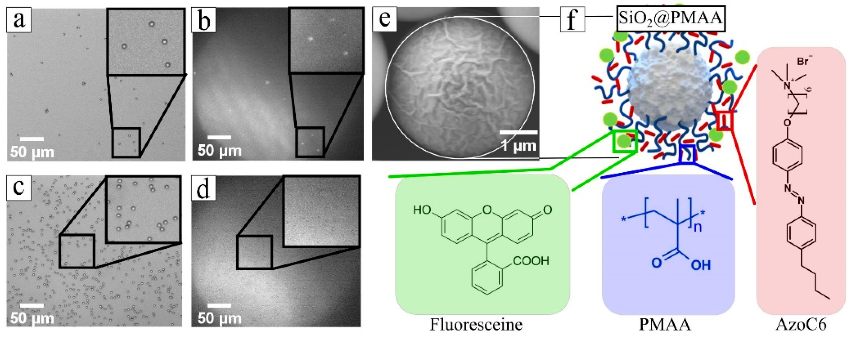 Processes 11 00773 g001