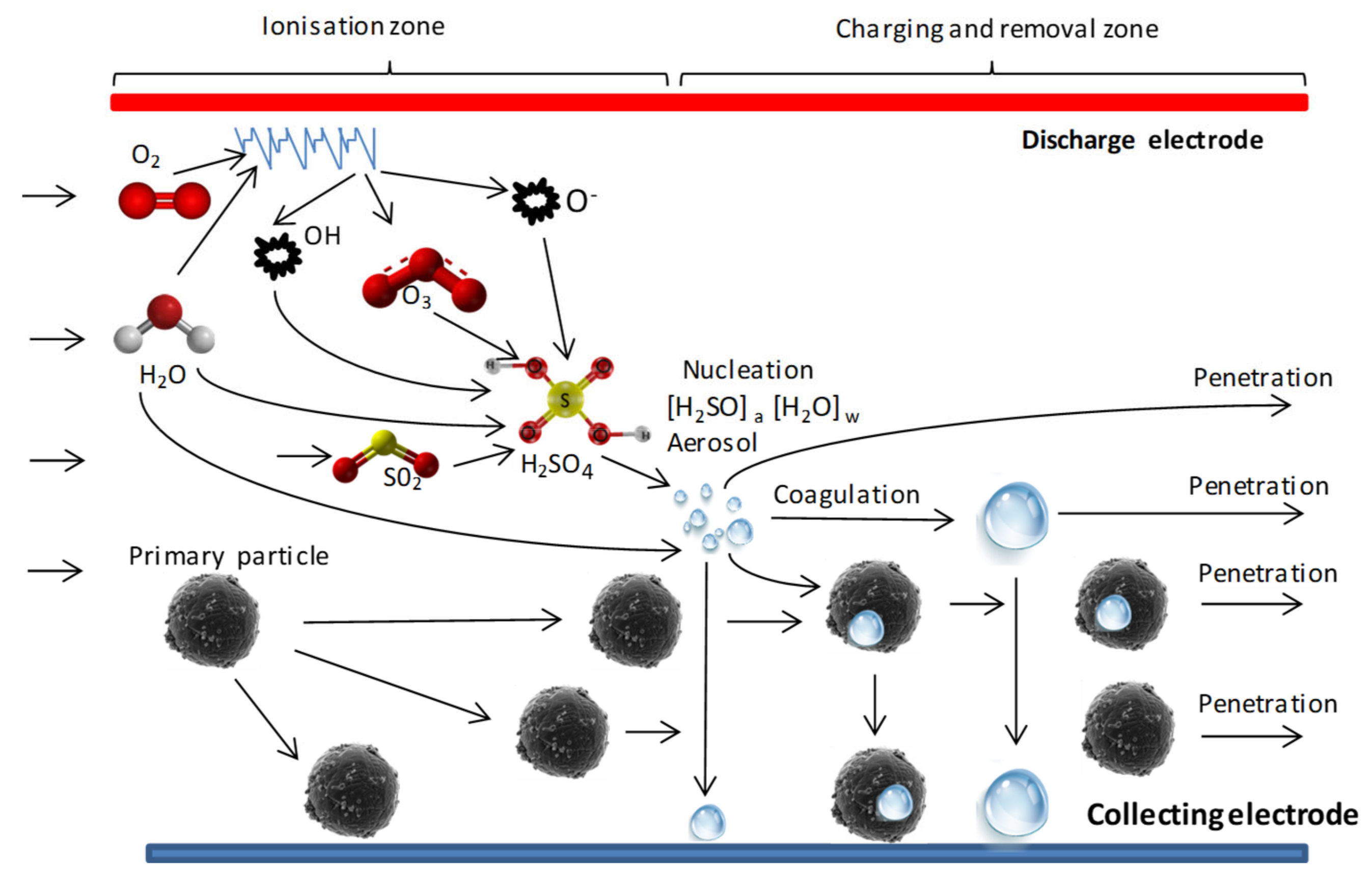 Processes 11 00808 g007