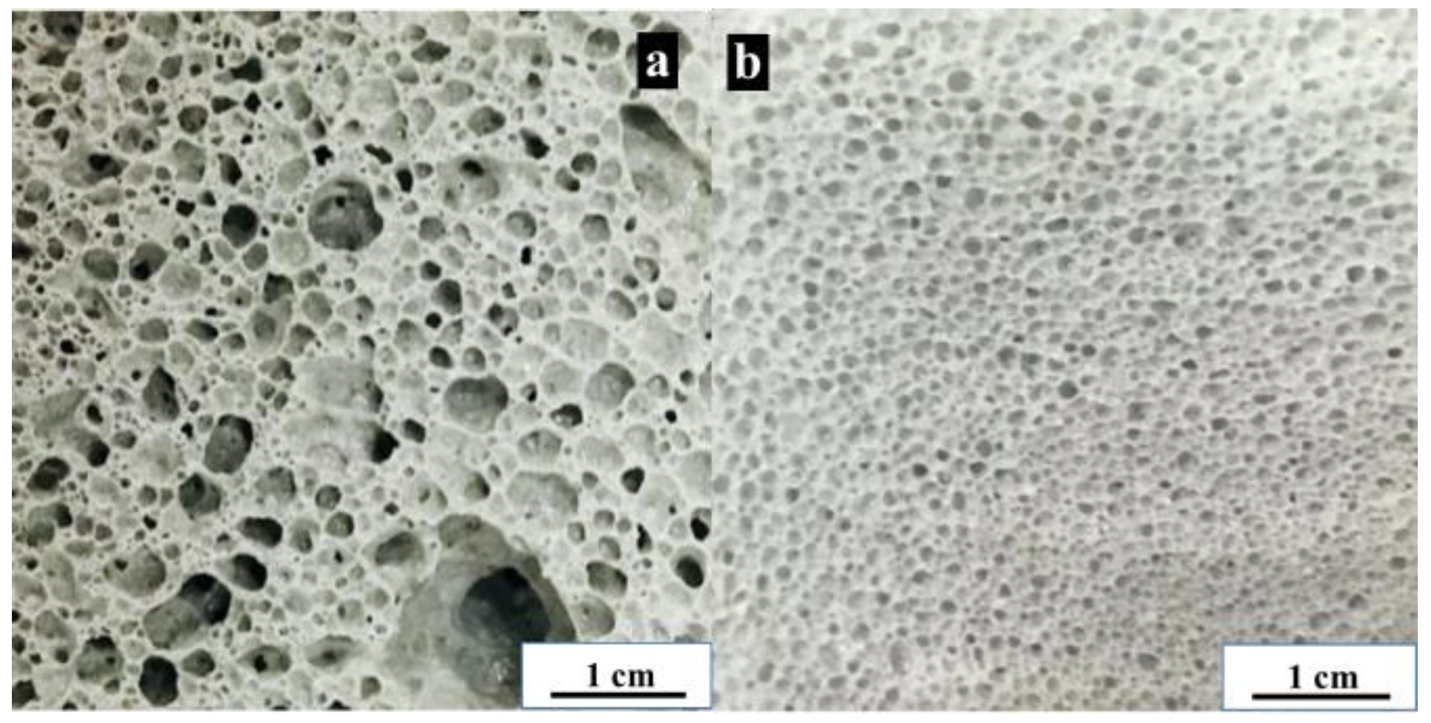 Processes 11 00844 g005