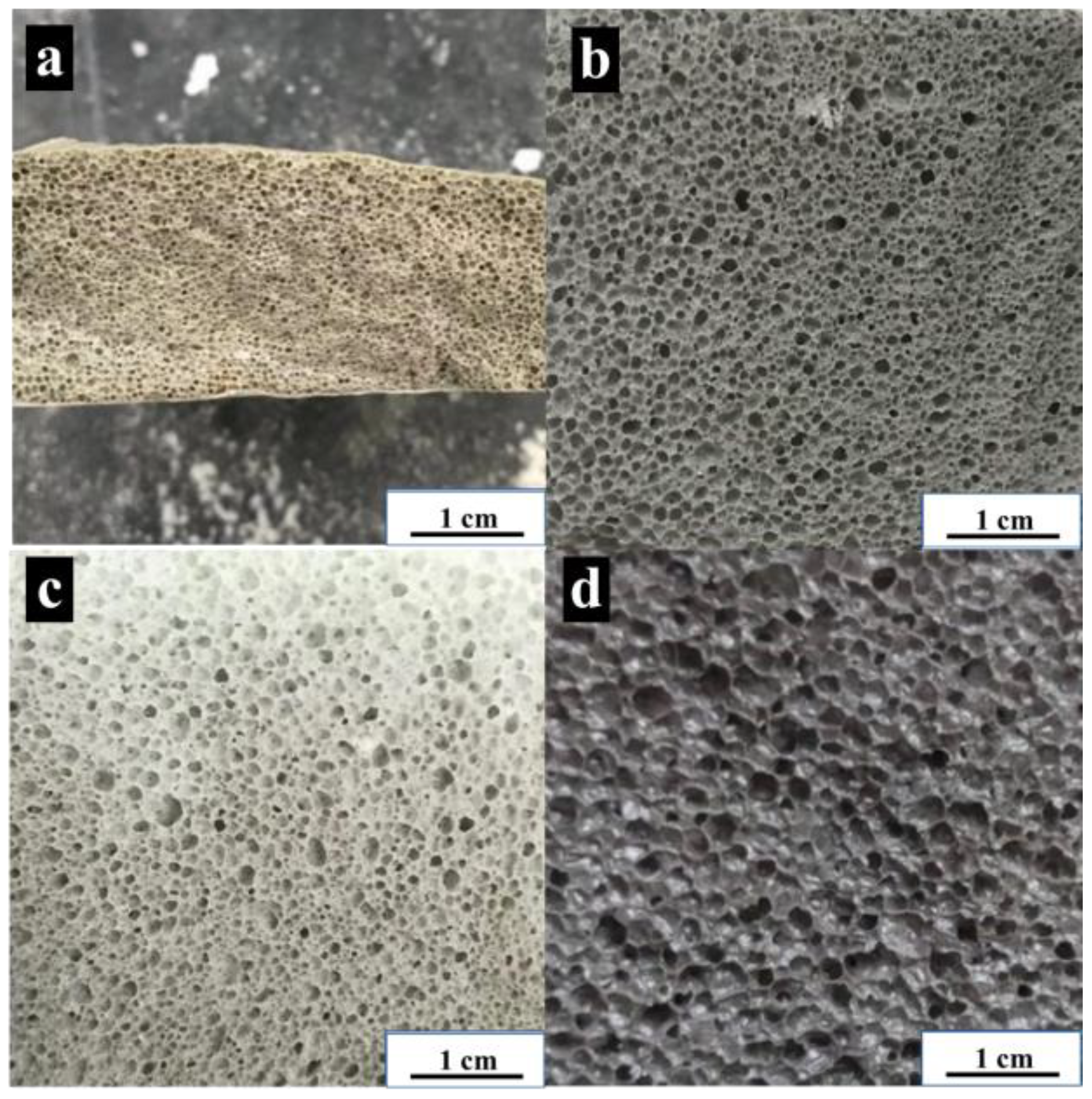 Processes 11 00844 g008