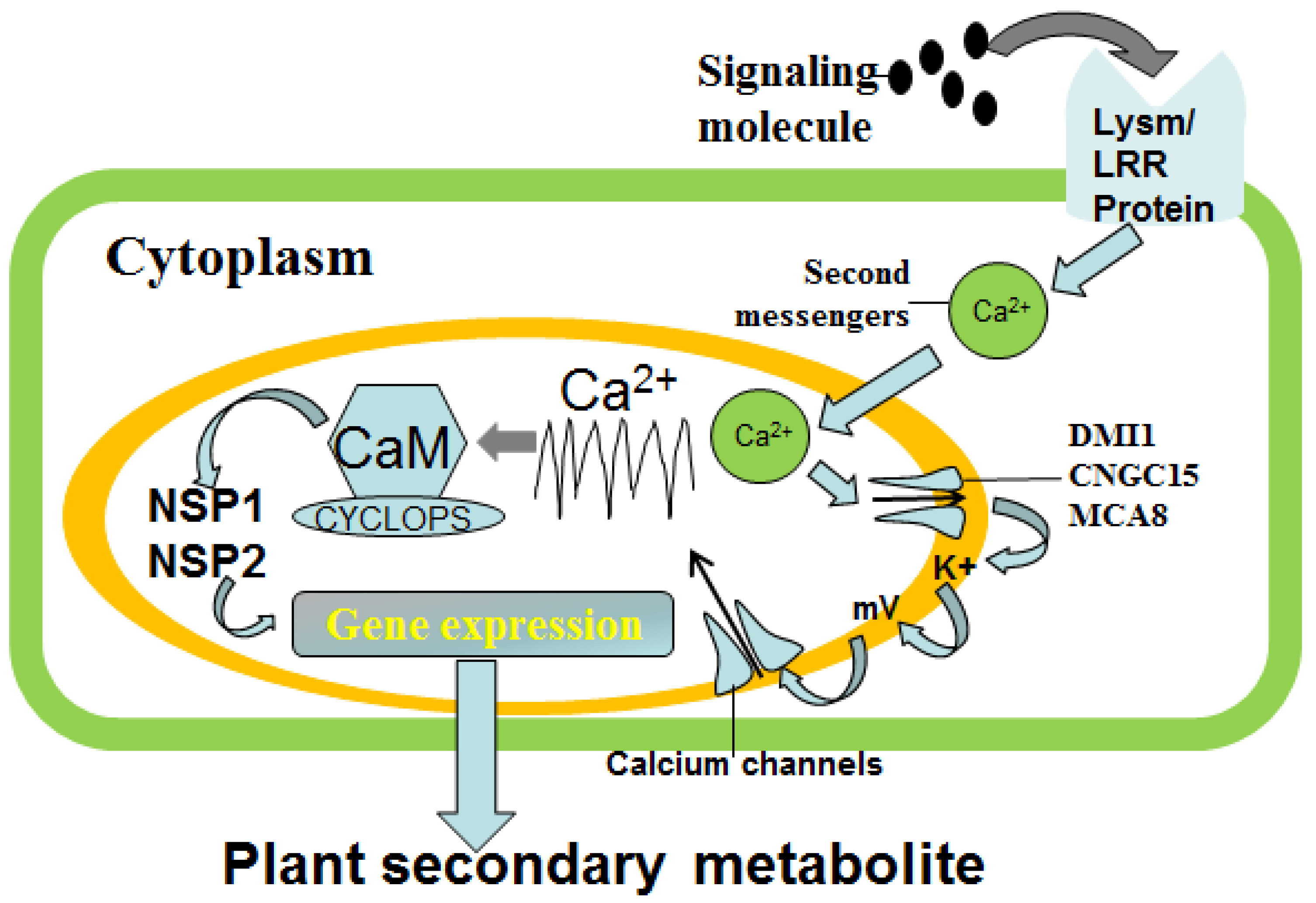 Processes 11 00849 g002 Processes 11 00849 g002