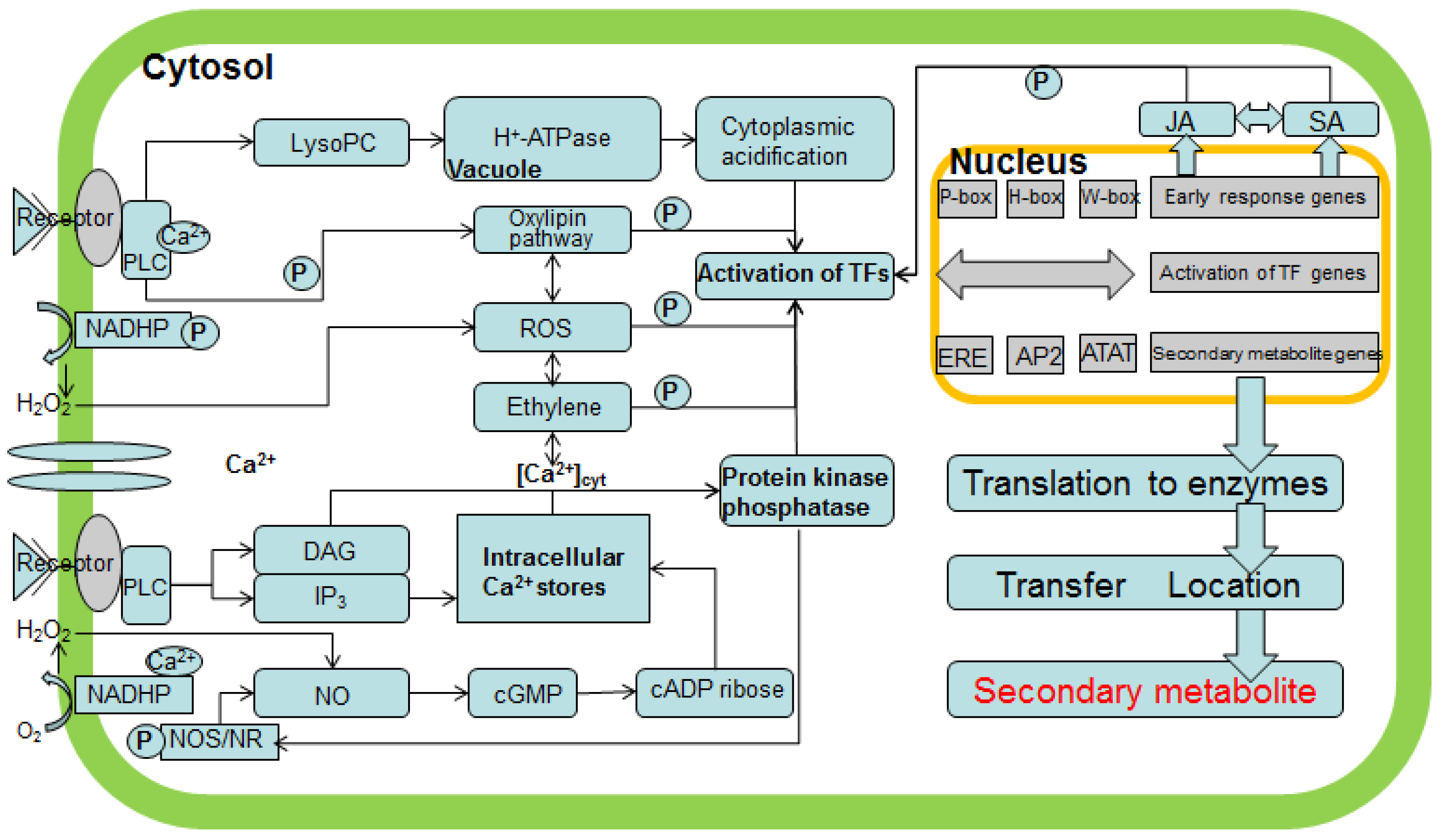Processes 11 00849 g004 Processes 11 00849 g004