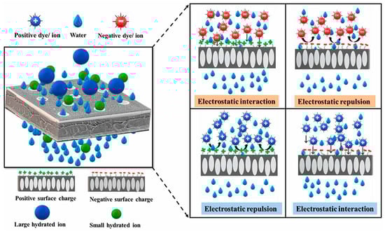 Processes 11 00855 g004