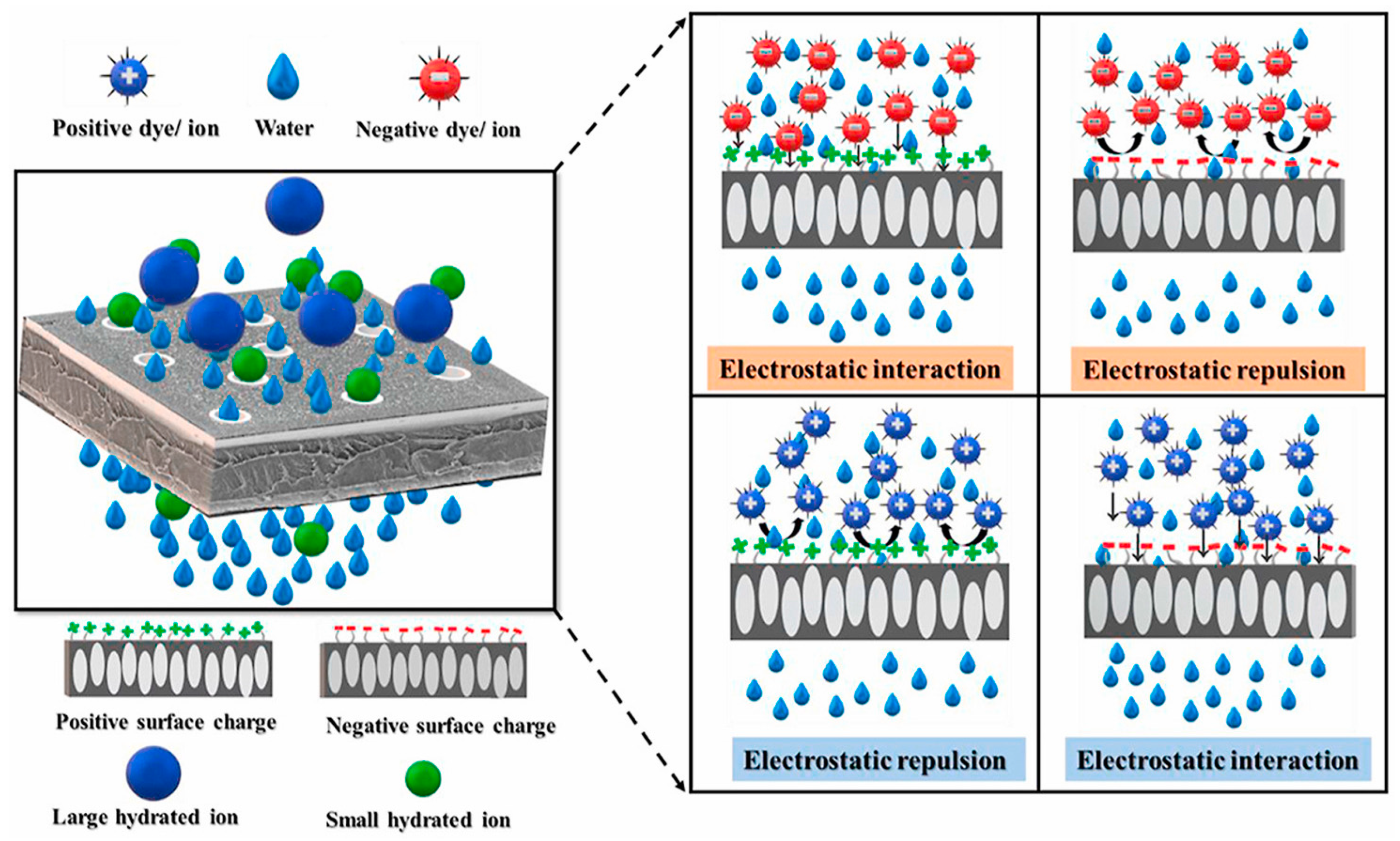 Processes 11 00855 g004