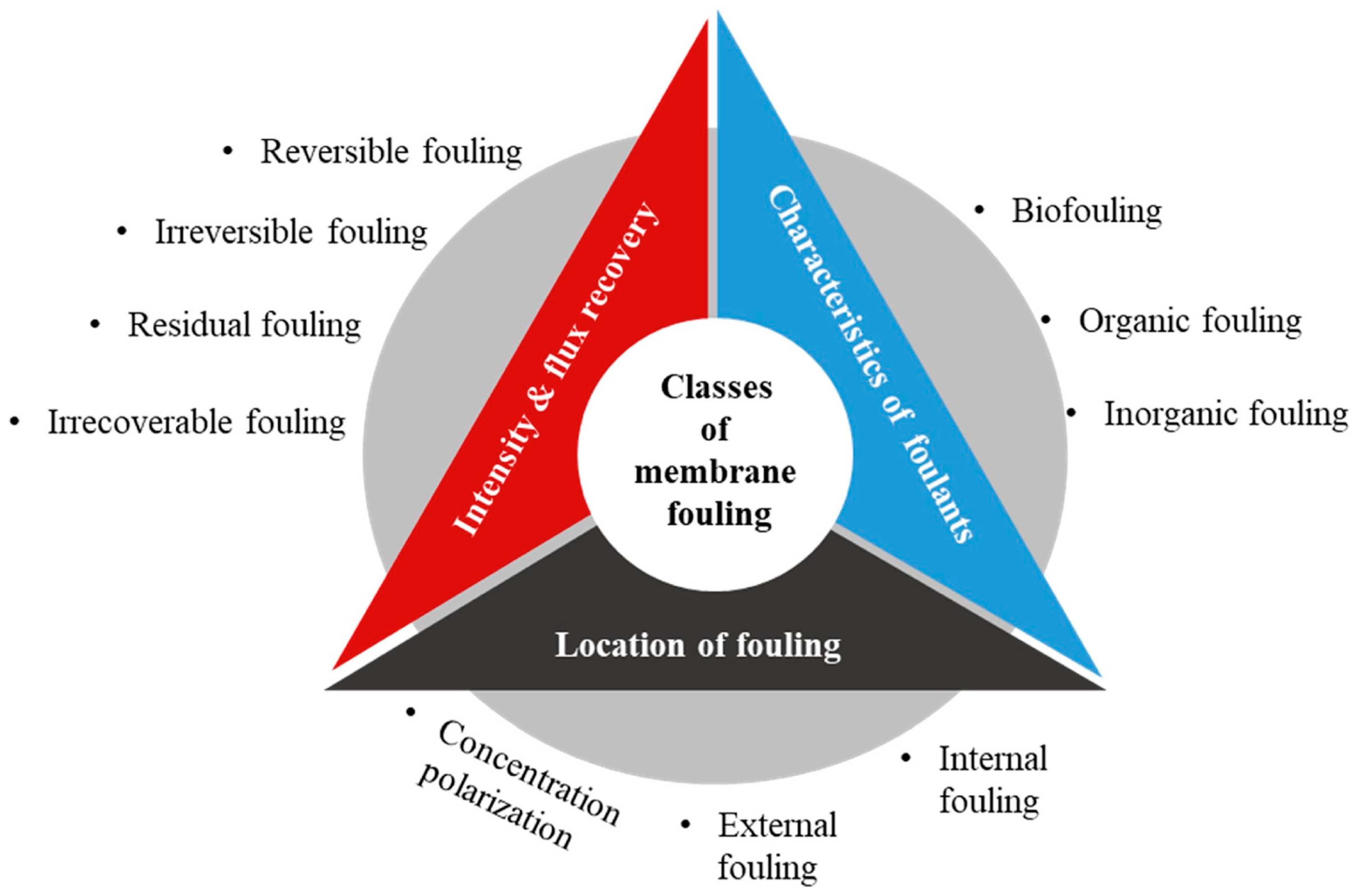Processes 11 00855 g006
